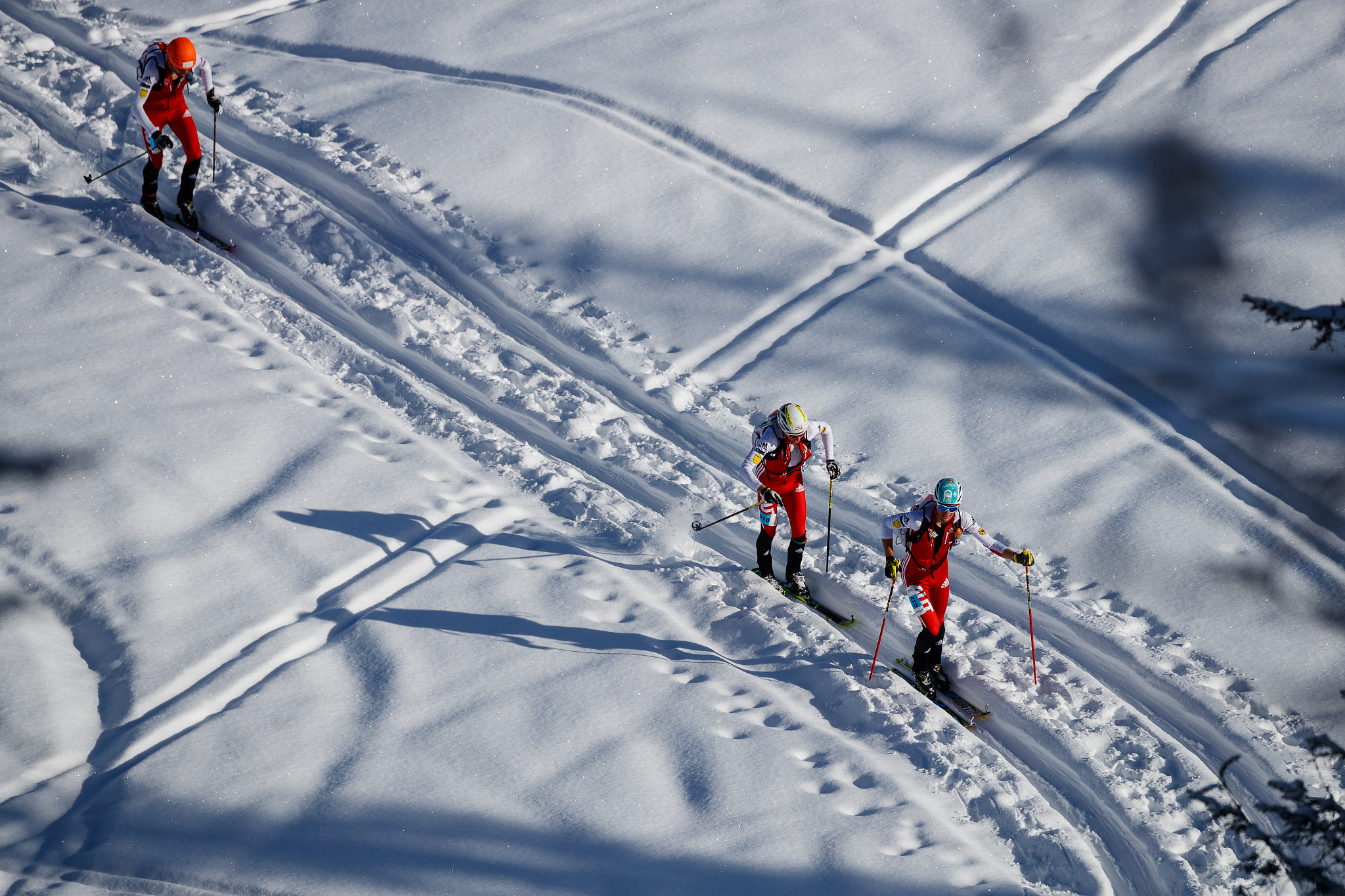 Canon EOS-1D X Mark II sample photo. Hochkönig erztrophy photography