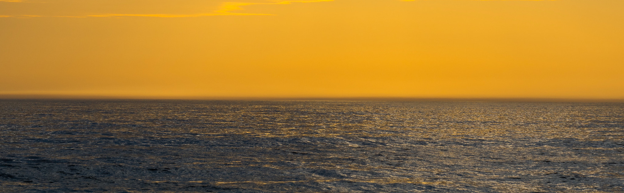 Olympus M.Zuiko Digital ED 40-150mm F2.8 Pro sample photo. Mango sunrise photography
