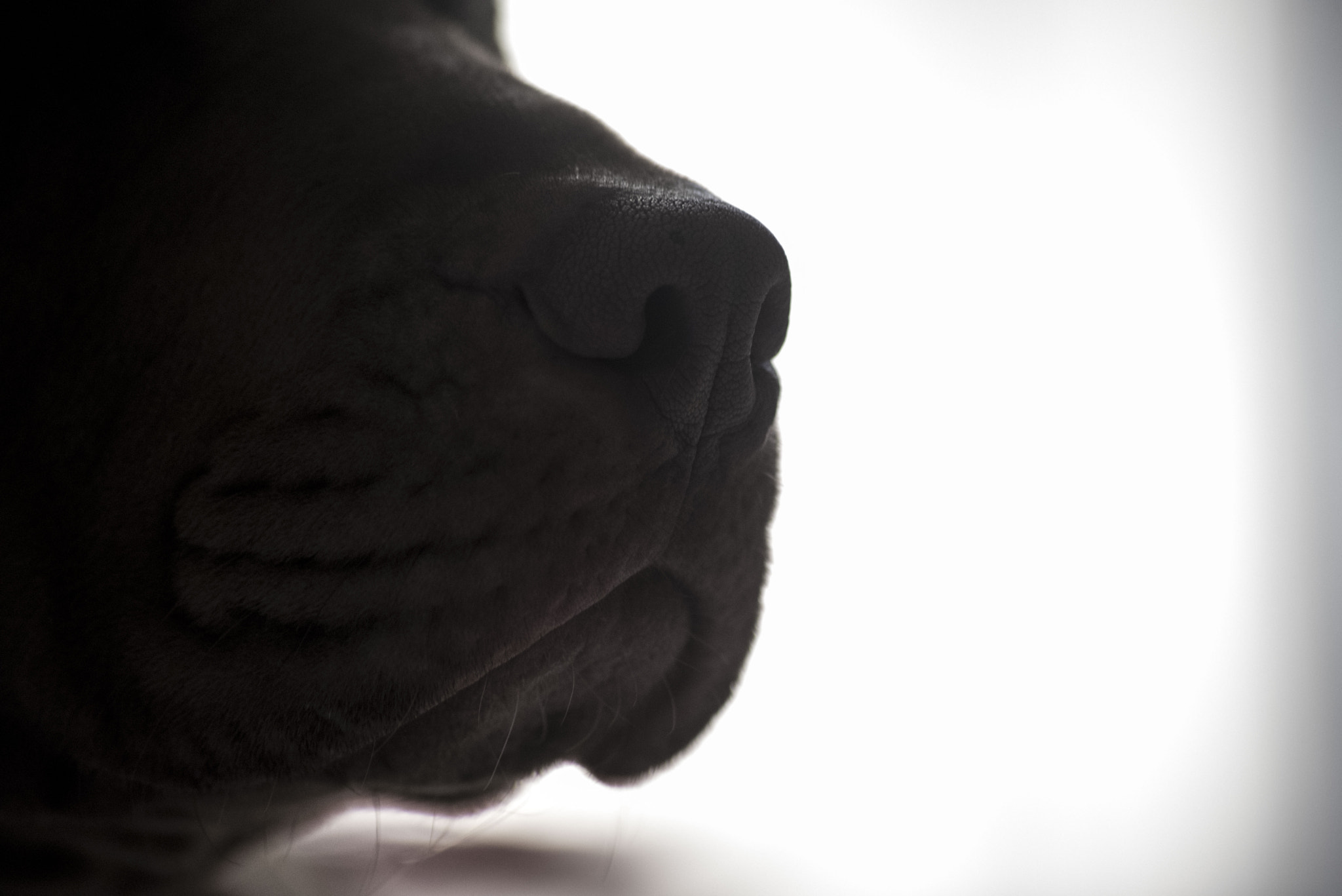 Sigma 70-300mm F4-5.6 APO DG Macro sample photo. She photography