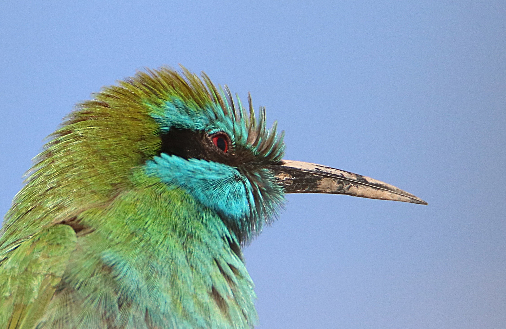 Tamron SP 150-600mm F5-6.3 Di VC USD sample photo. Img photography