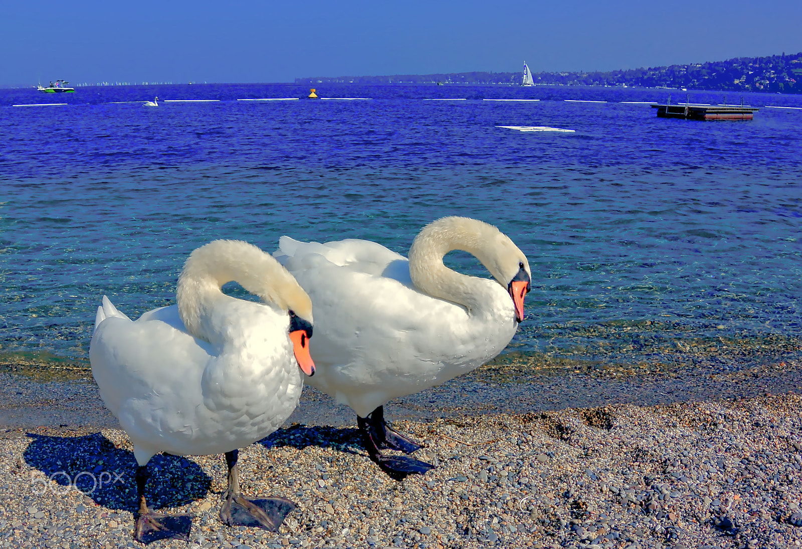 Nikon 1 AW1 sample photo. Twins on the lake photography