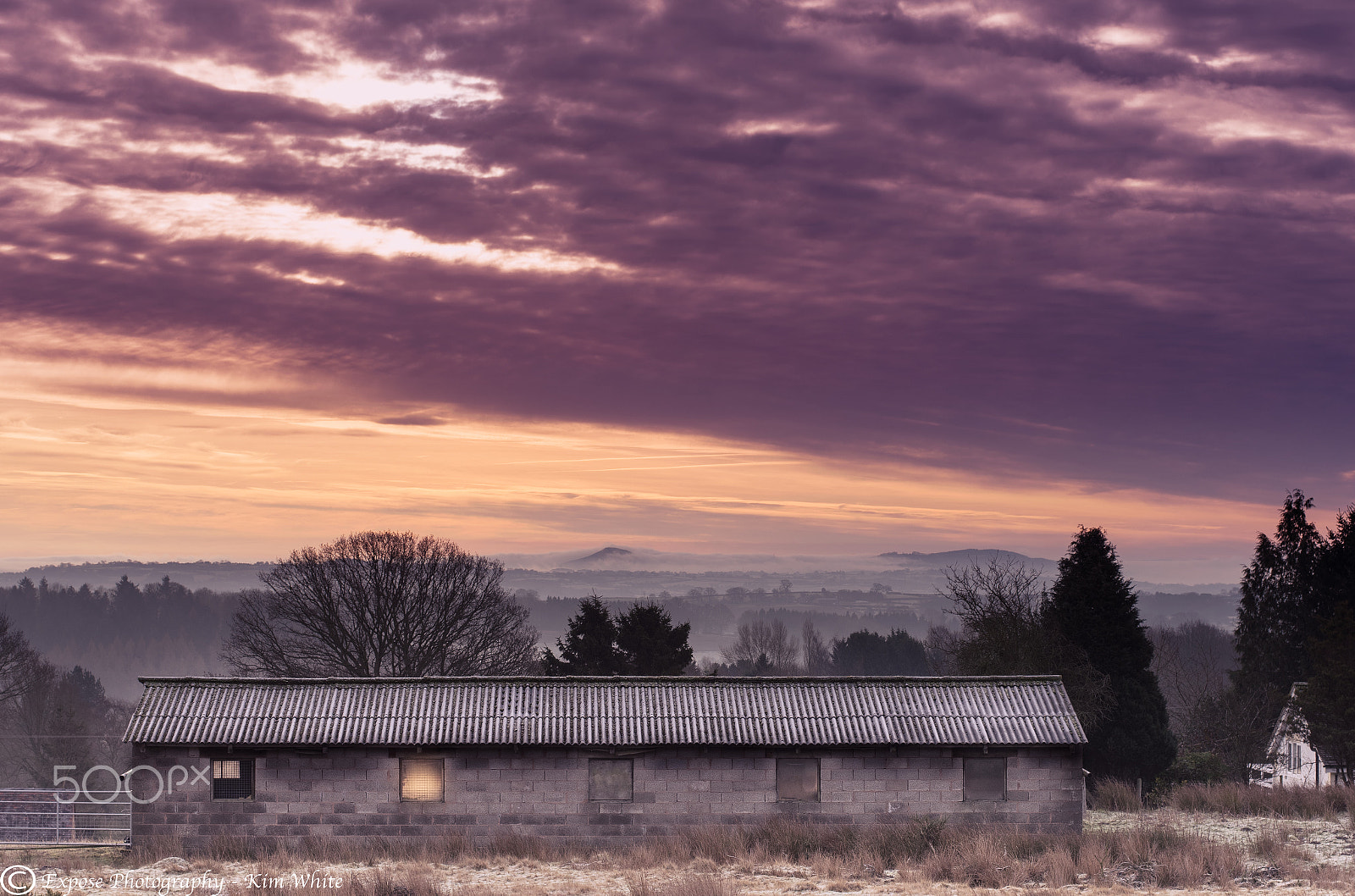 Nikon D500 + Nikon AF-S Nikkor 50mm F1.8G sample photo. Sheep shed view photography