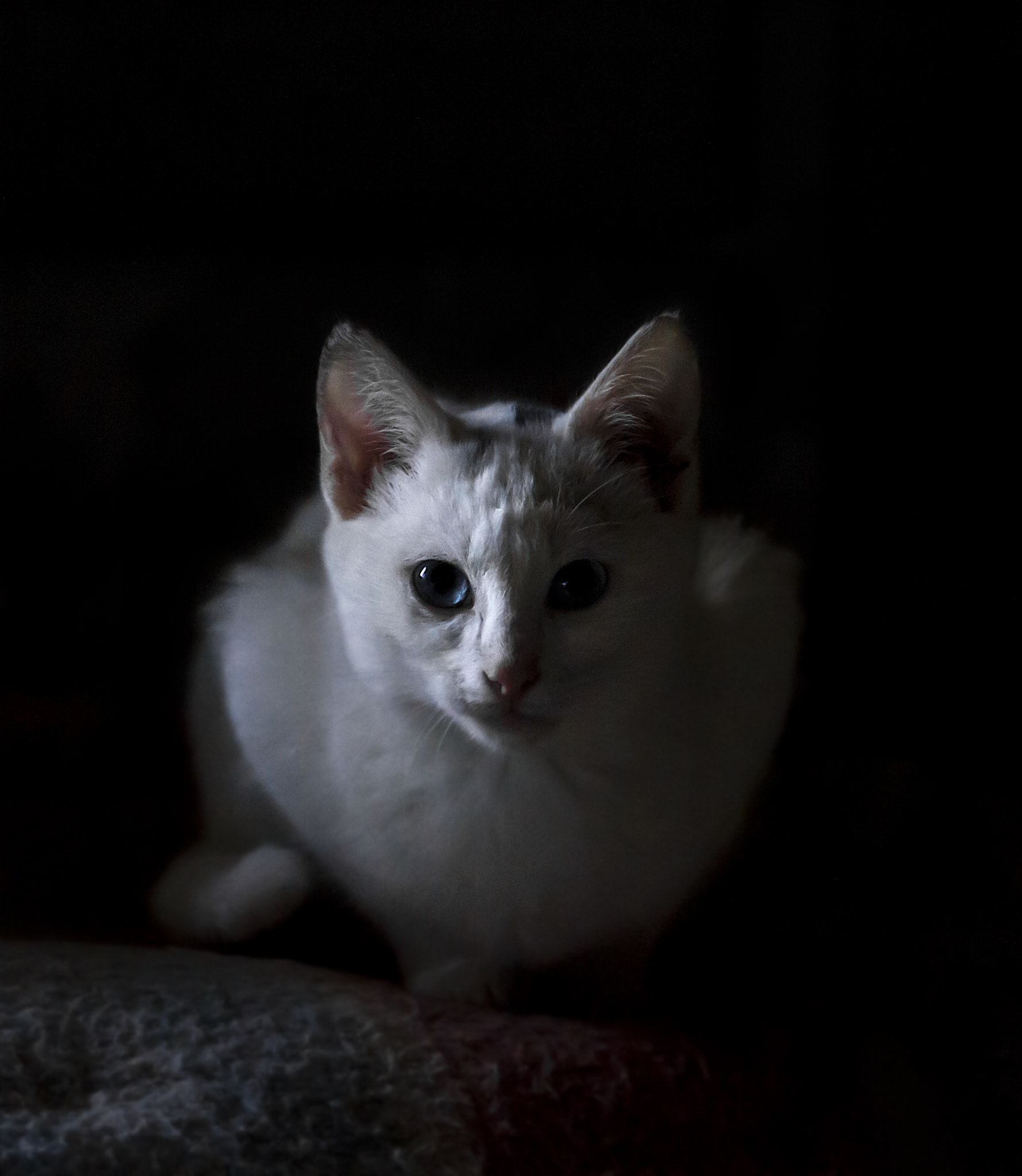 EF75-300mm f/4-5.6 sample photo. Dwm photography
