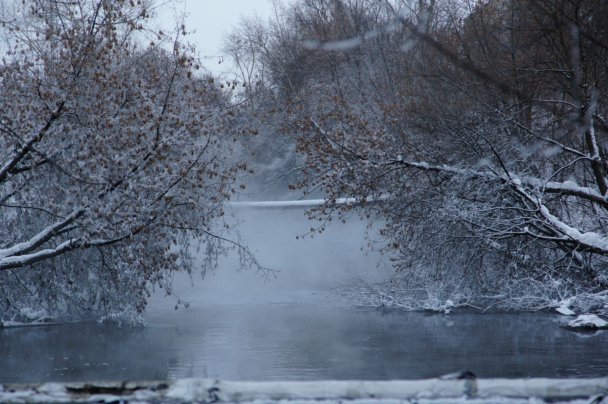 Sony SLT-A55 (SLT-A55V) sample photo. Winter photography