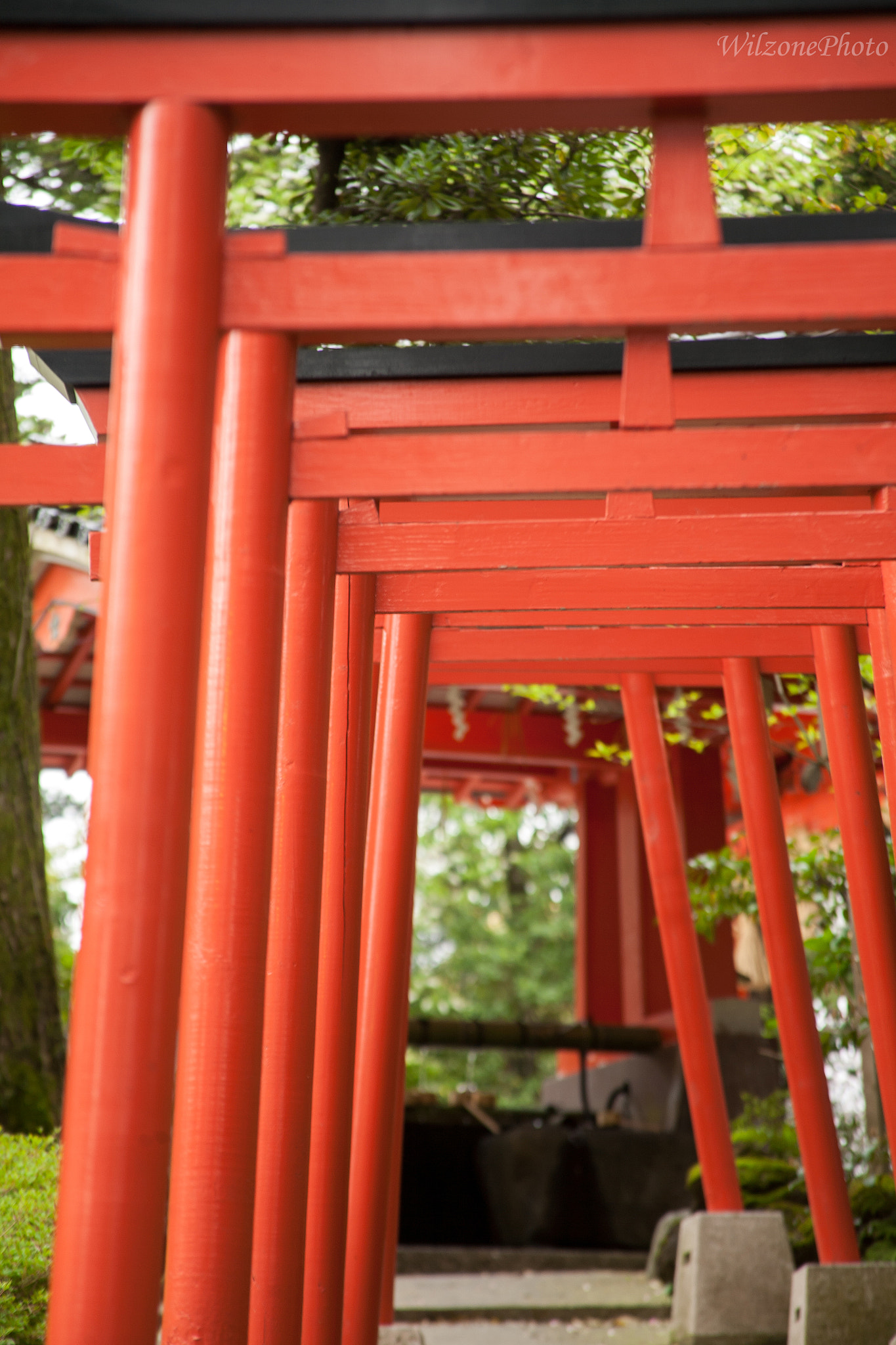 Canon EF 28-135mm F3.5-5.6 IS USM sample photo. Kanazawa 225 photography