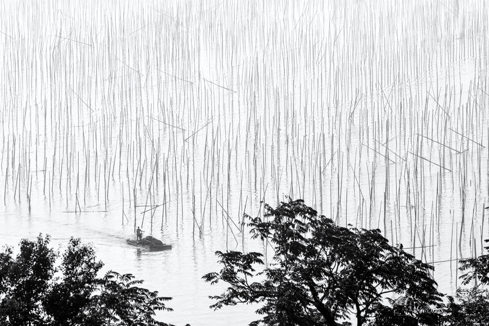 AF-S Zoom-Nikkor 80-200mm f/2.8D IF-ED sample photo. Fujian sea weed farm photography