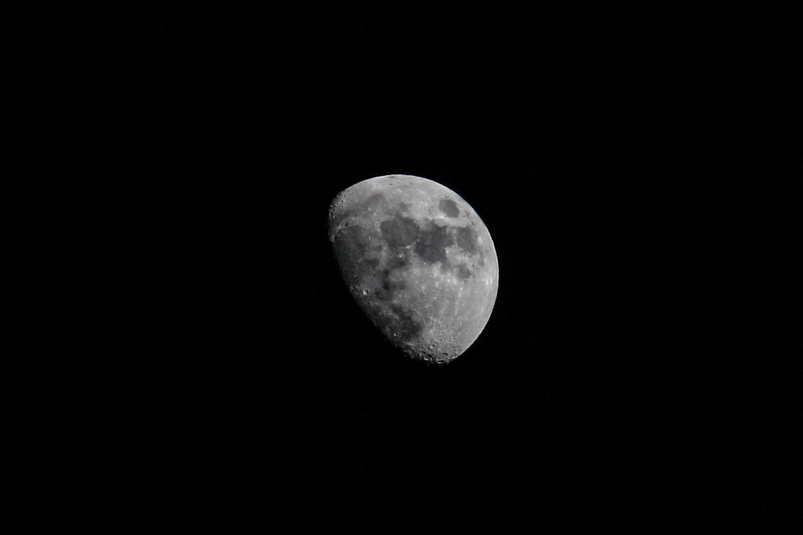 Canon EF 70-200mm F4L IS USM sample photo