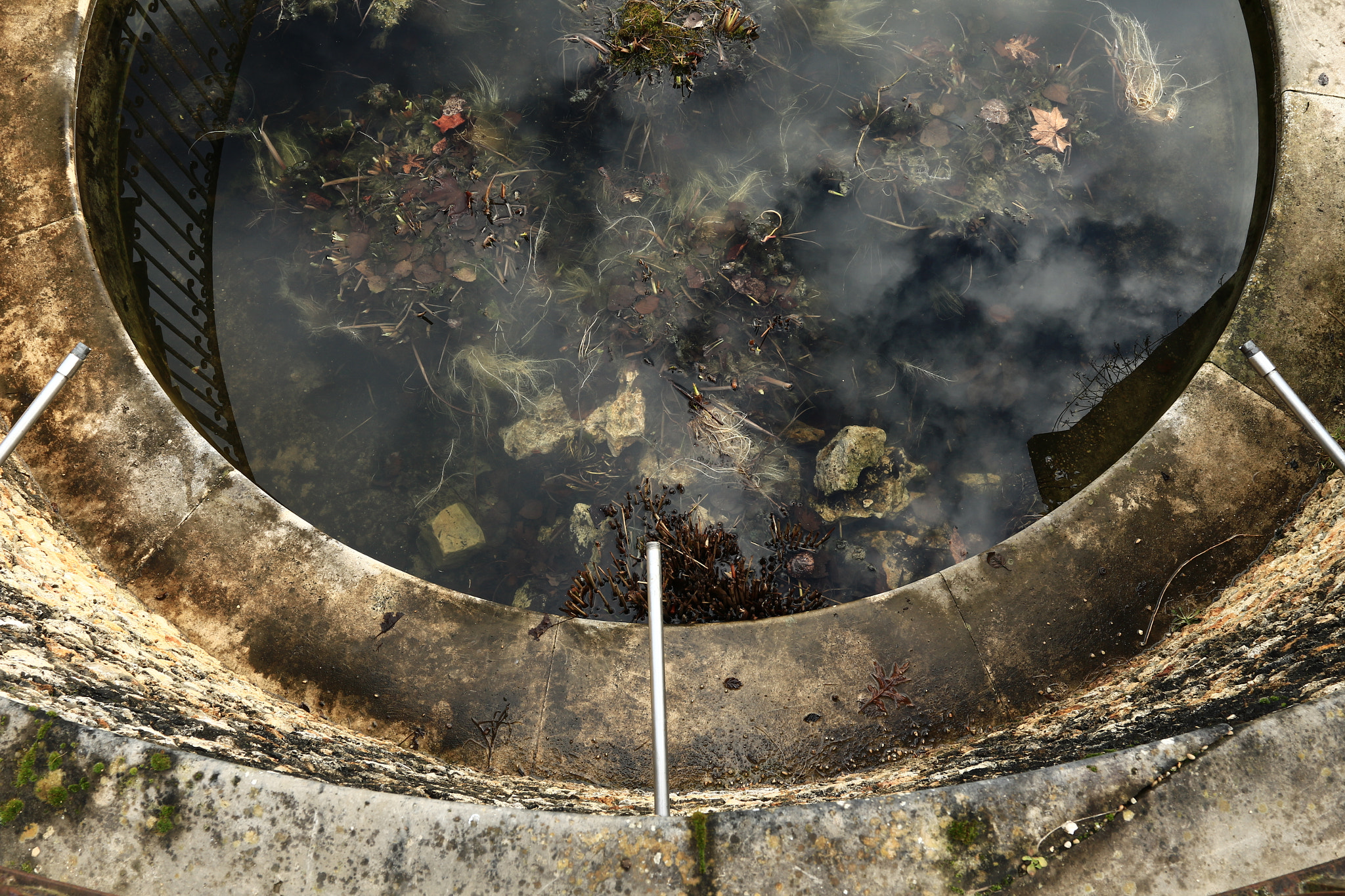 Canon EOS 700D (EOS Rebel T5i / EOS Kiss X7i) + Canon EF 17-40mm F4L USM sample photo. Pond photography