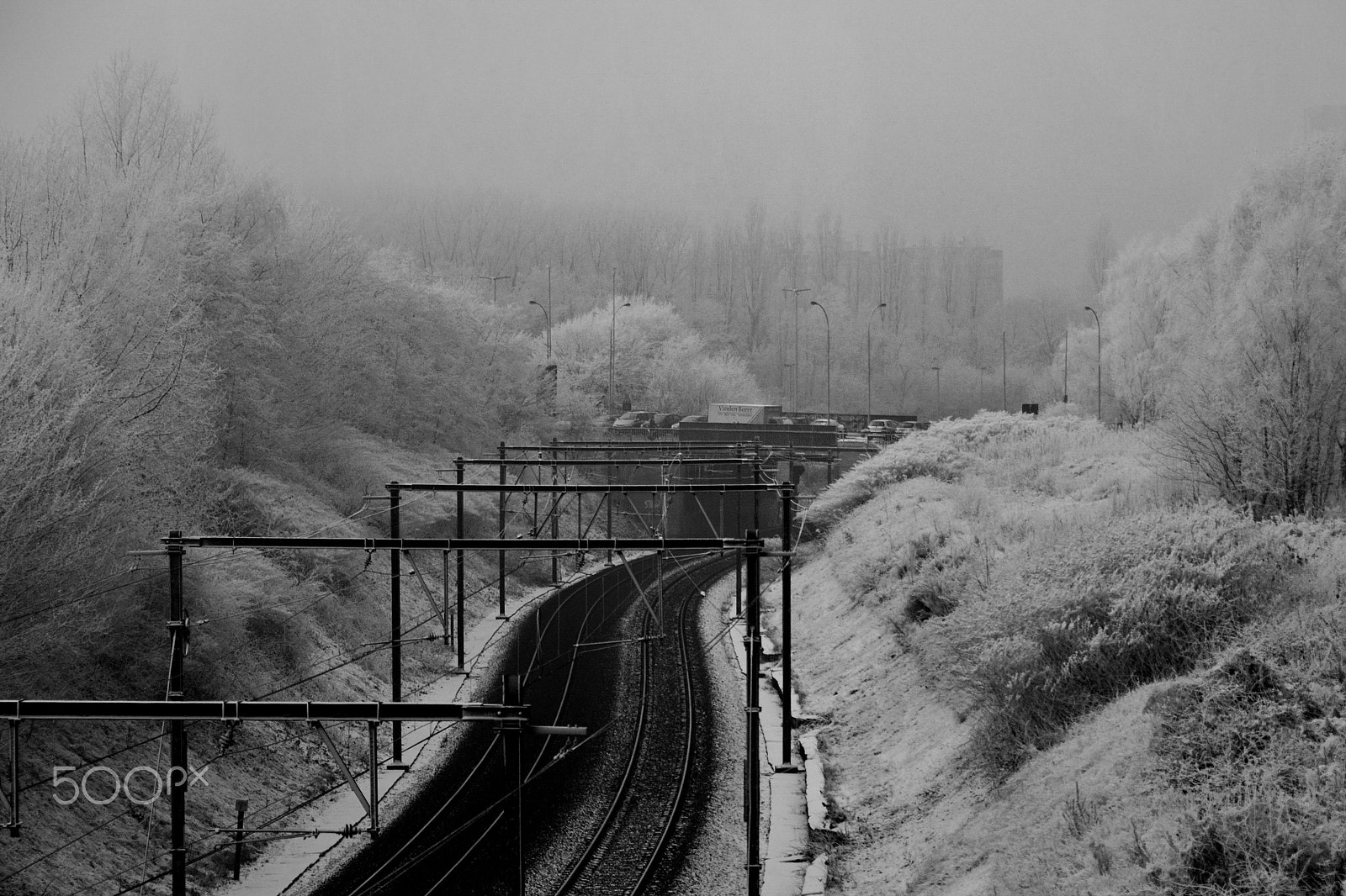 Nikon D80 sample photo. Dec 07 photography