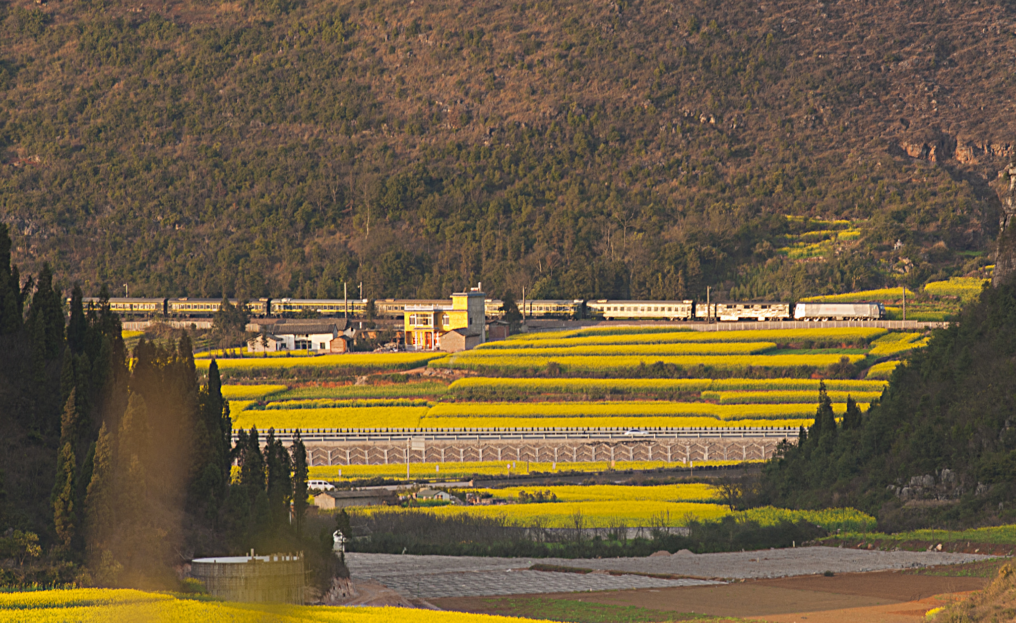 Nikon D700 sample photo. A train in the shine of sunset photography