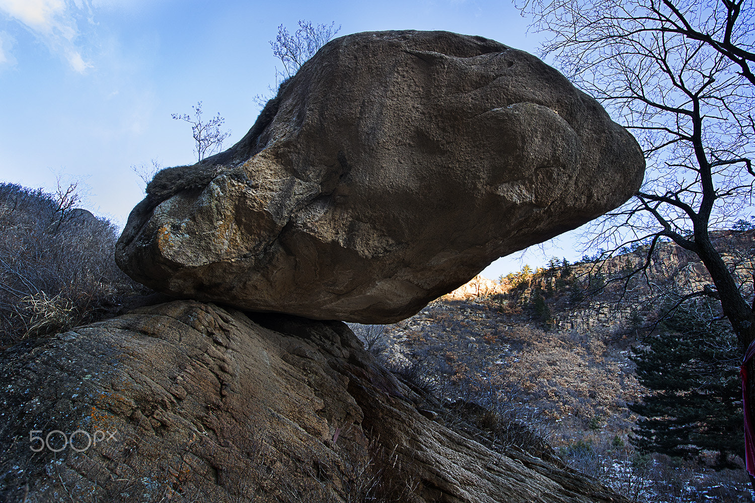 Canon EF 16-35mm F2.8L II USM sample photo. Toad stone photography