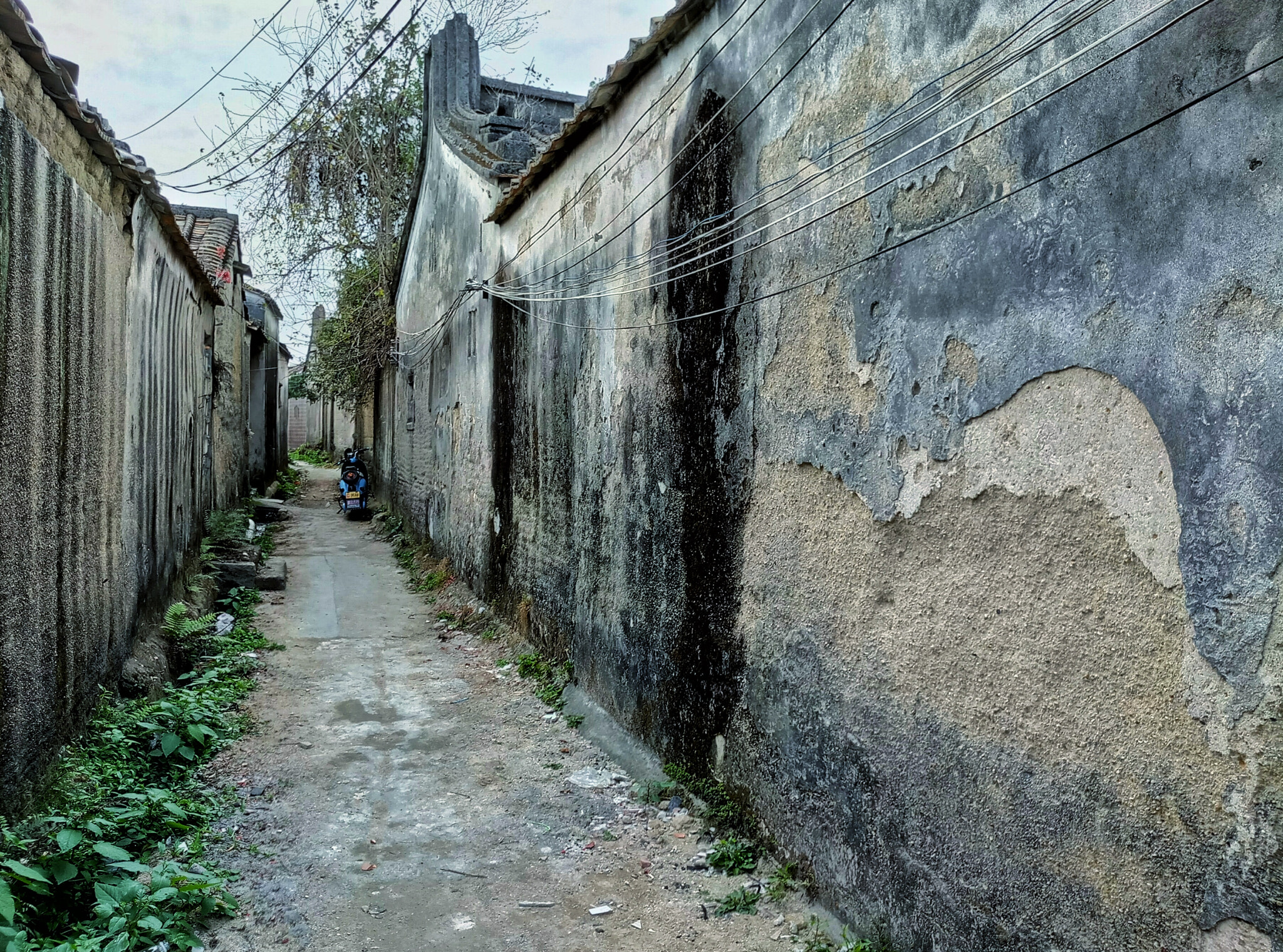 Meizu MX6 sample photo