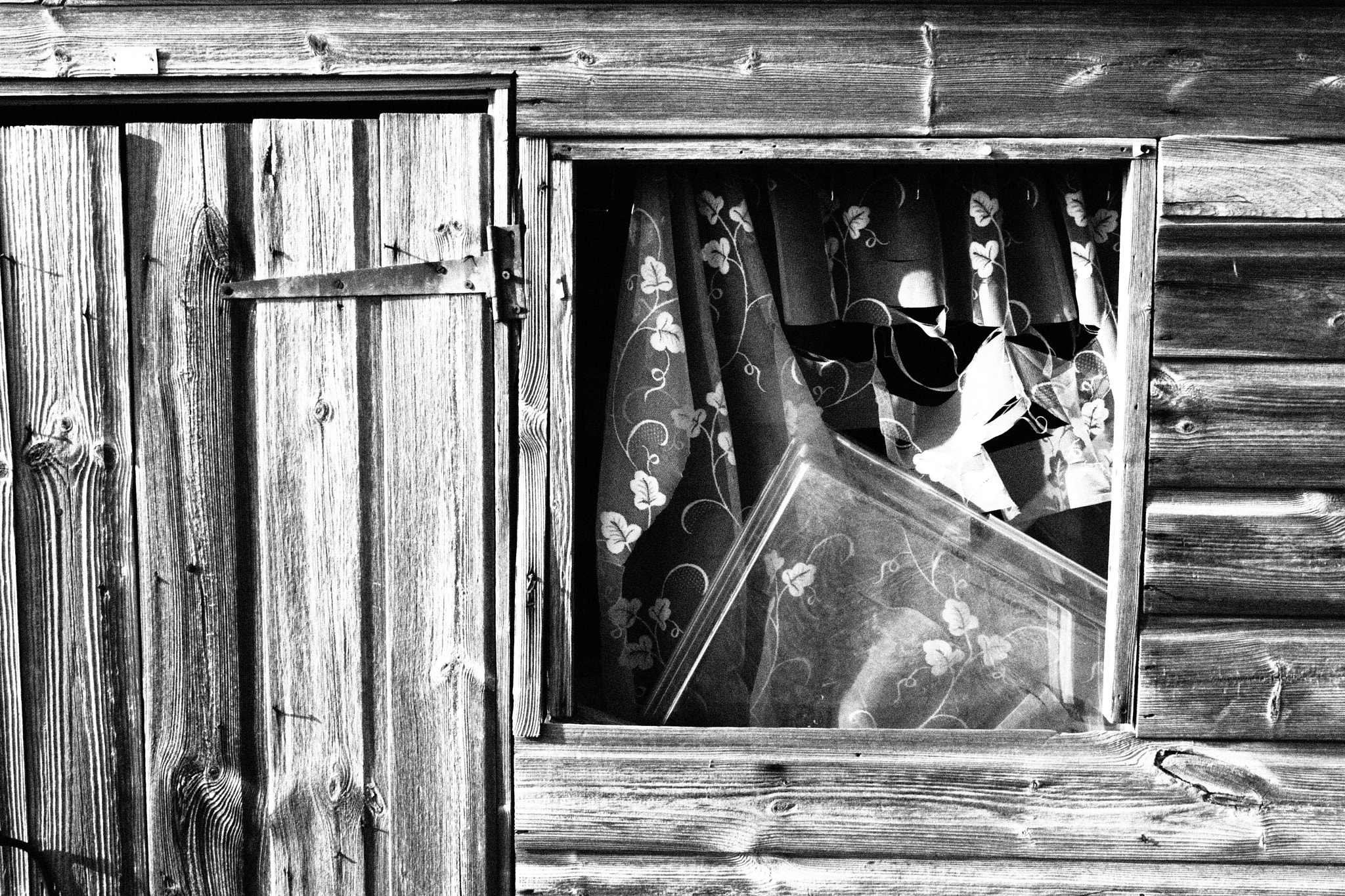 Olympus PEN E-PL2 sample photo. Shed photography