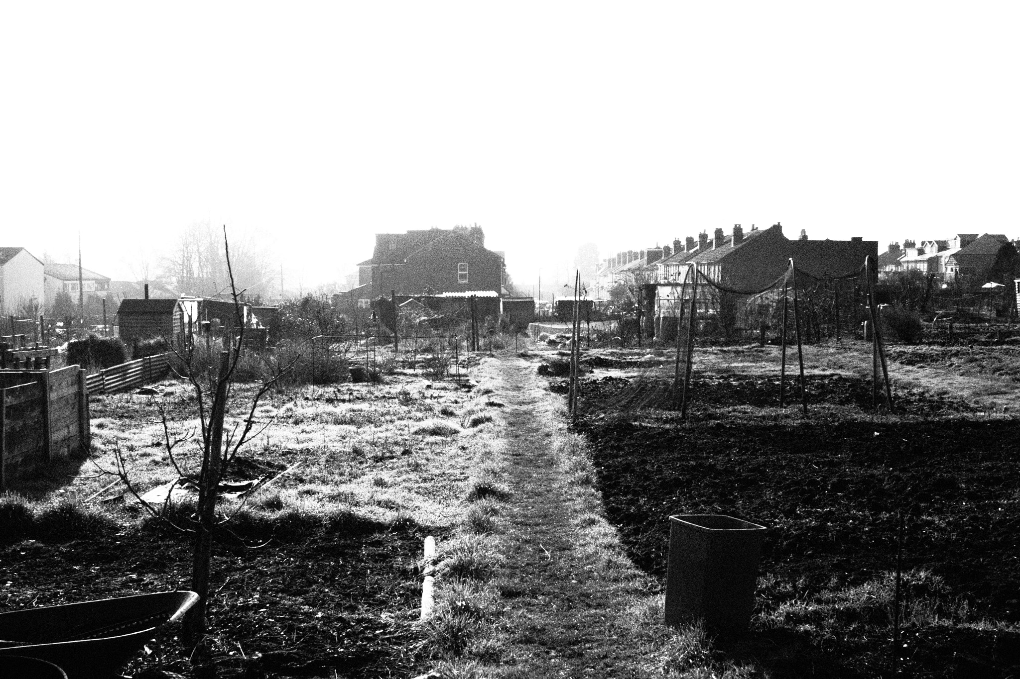 Olympus PEN E-PL2 sample photo. Allotment photography