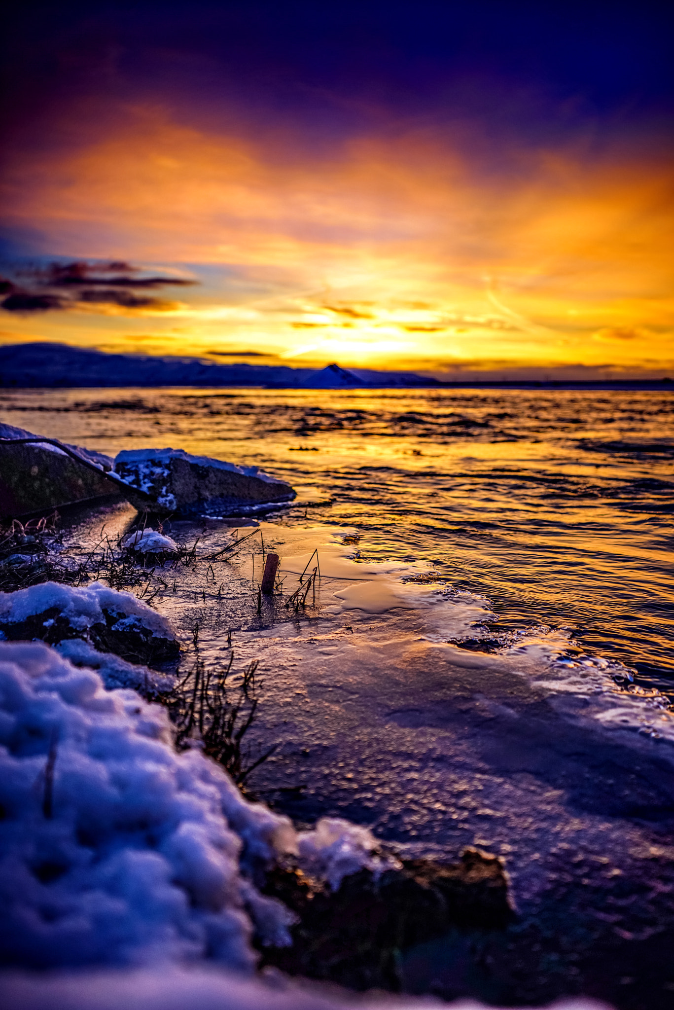 Sony FE 28-70mm F3.5-5.6 OSS sample photo. Icelandic hello photography