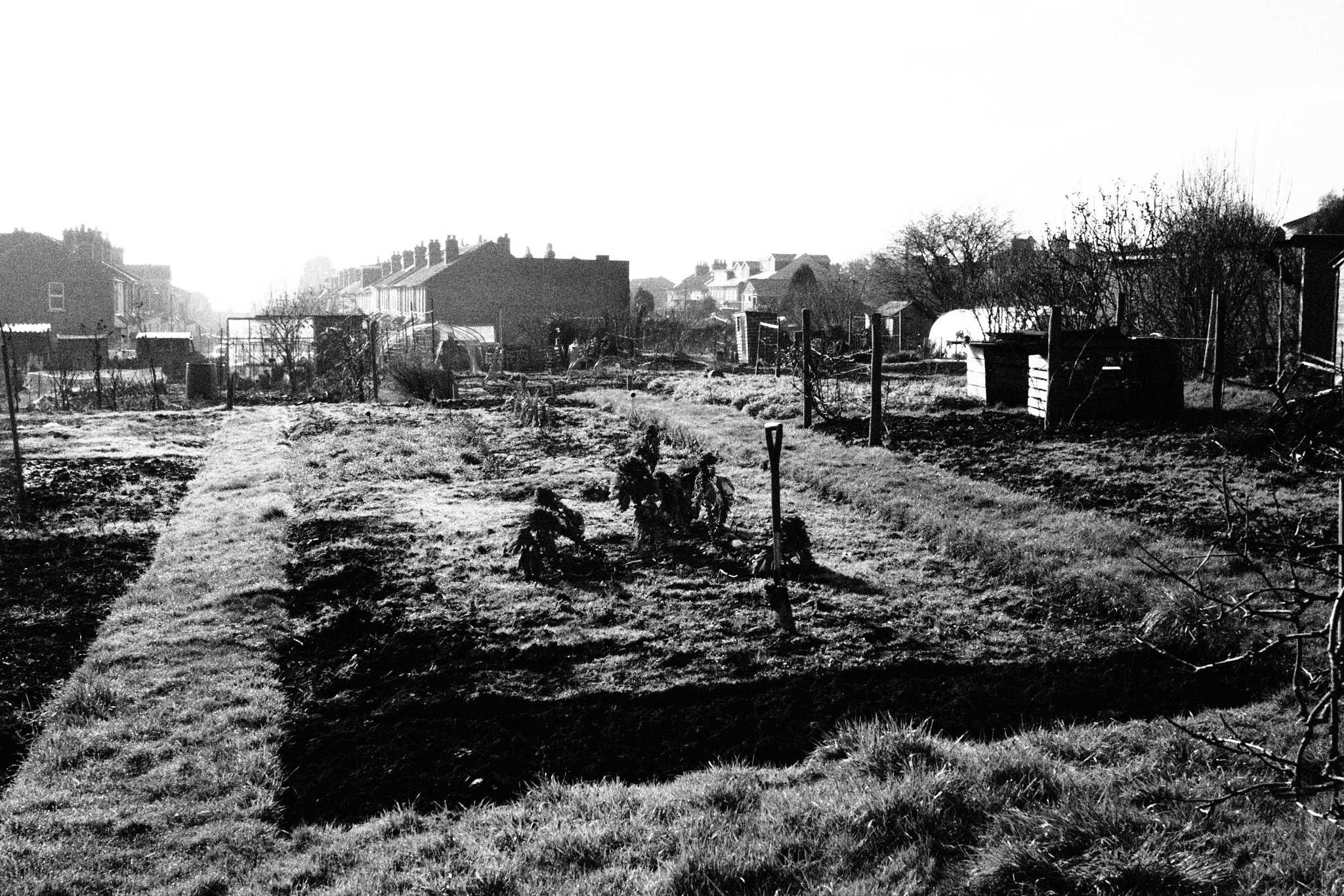 Olympus PEN E-PL2 sample photo. Allotment 2 photography