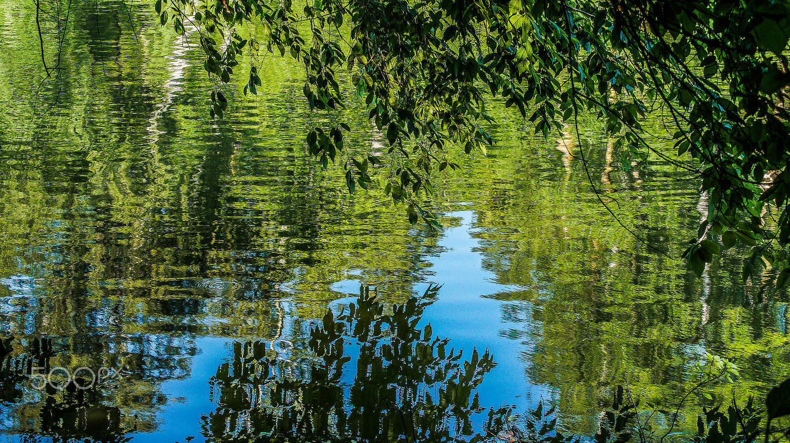 Sony SLT-A58 + Sony DT 55-200mm F4-5.6 SAM sample photo. Summer.river photography