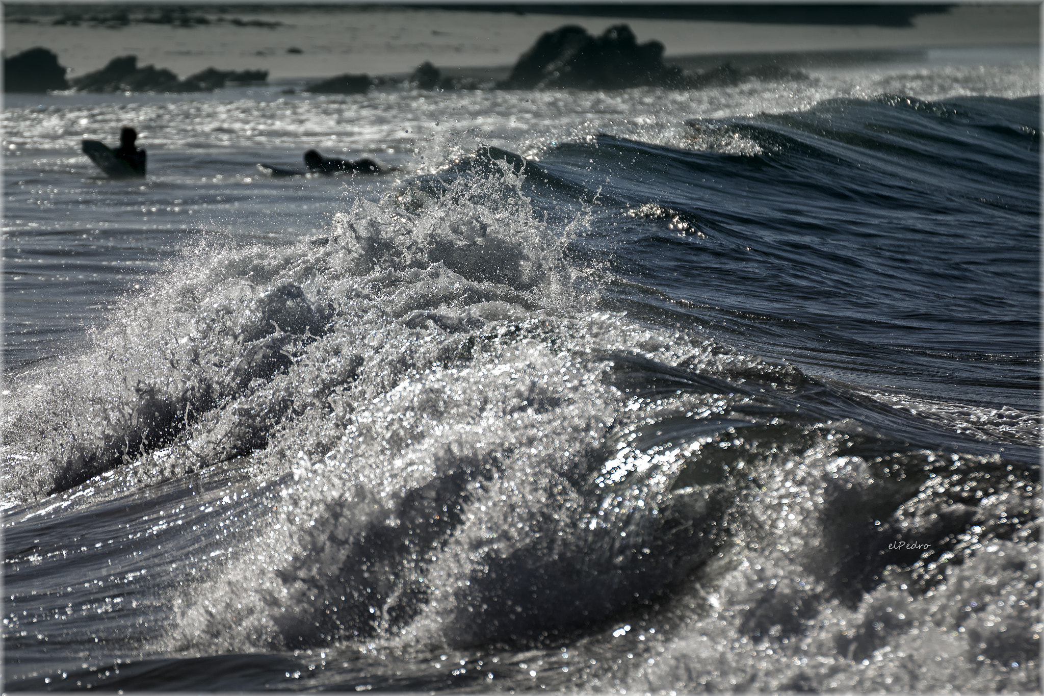 Tamron SP 35mm F1.8 Di VC USD sample photo. Tawharanui regional park new zealand photography