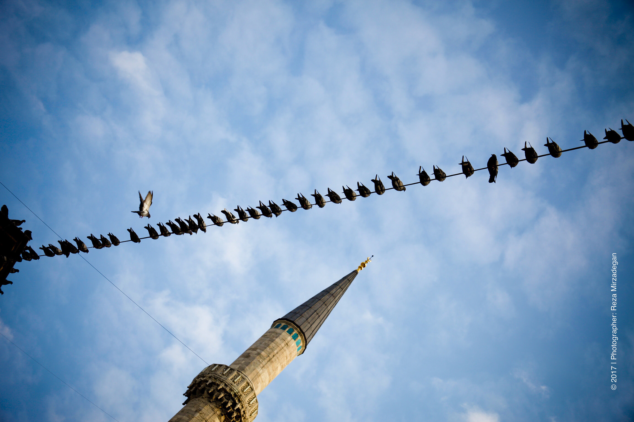 Canon EF 28-200mm F3.5-5.6 USM sample photo. United birds! photography