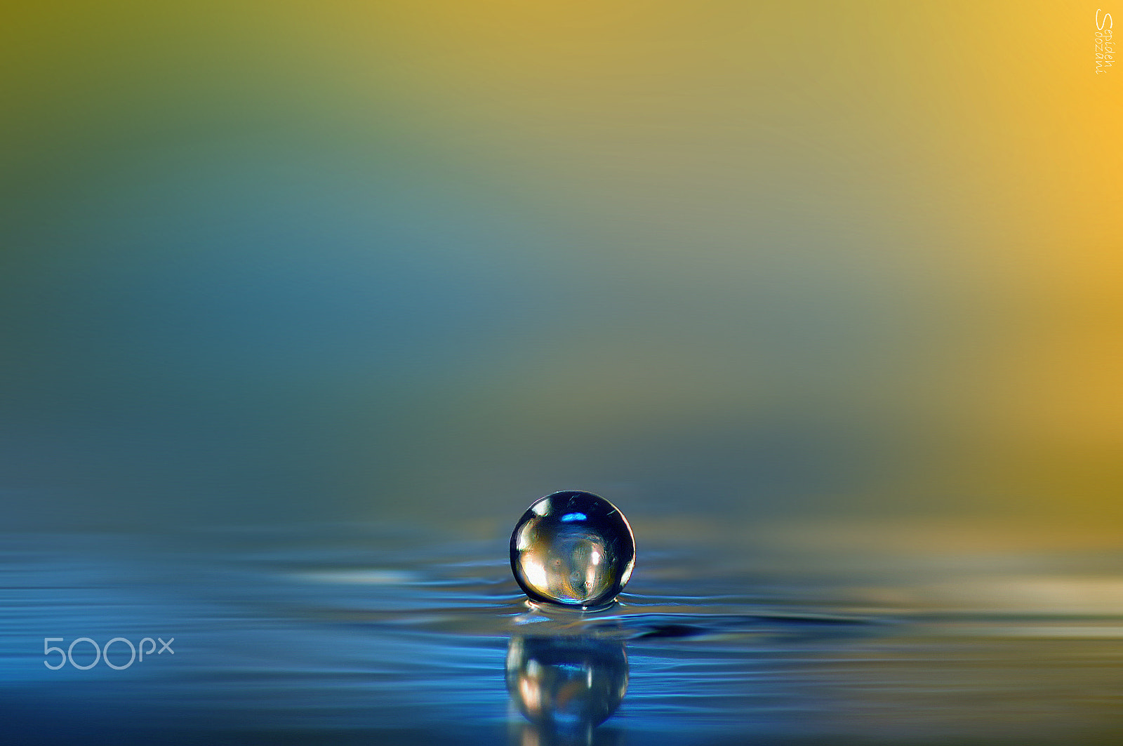 Tamron SP AF 90mm F2.8 Di Macro sample photo. Precious drop photography