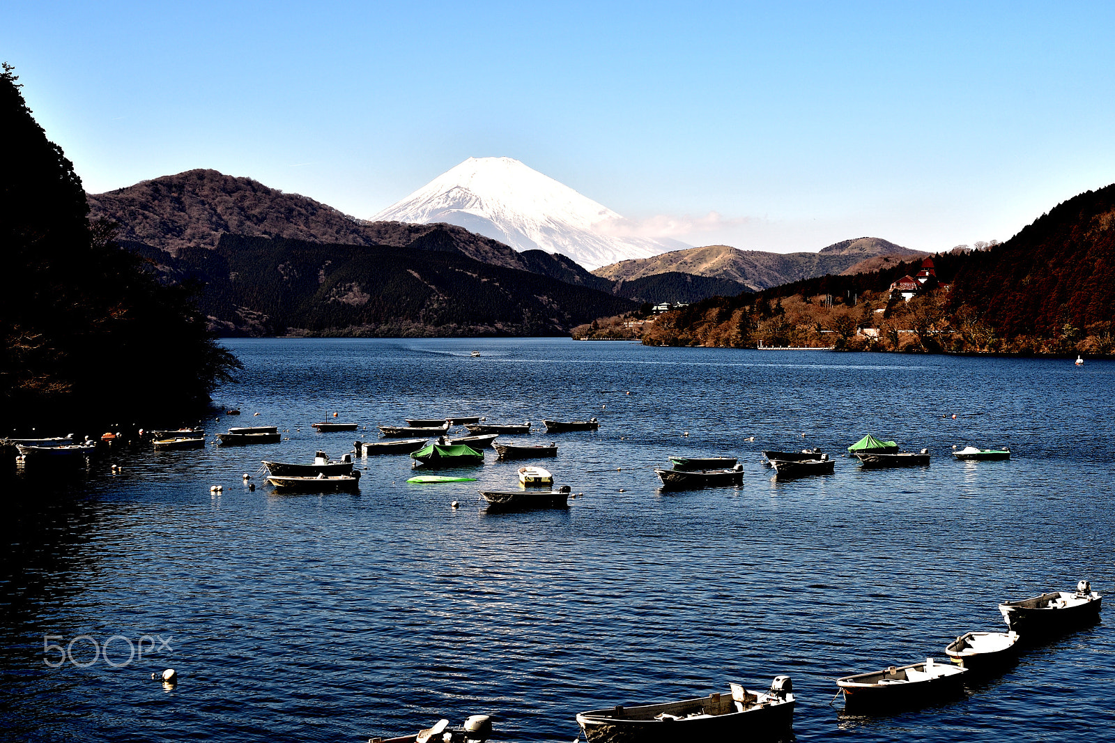 Nikon AF-S DX Micro Nikkor 40mm F2.8 sample photo. Ashinoko photography