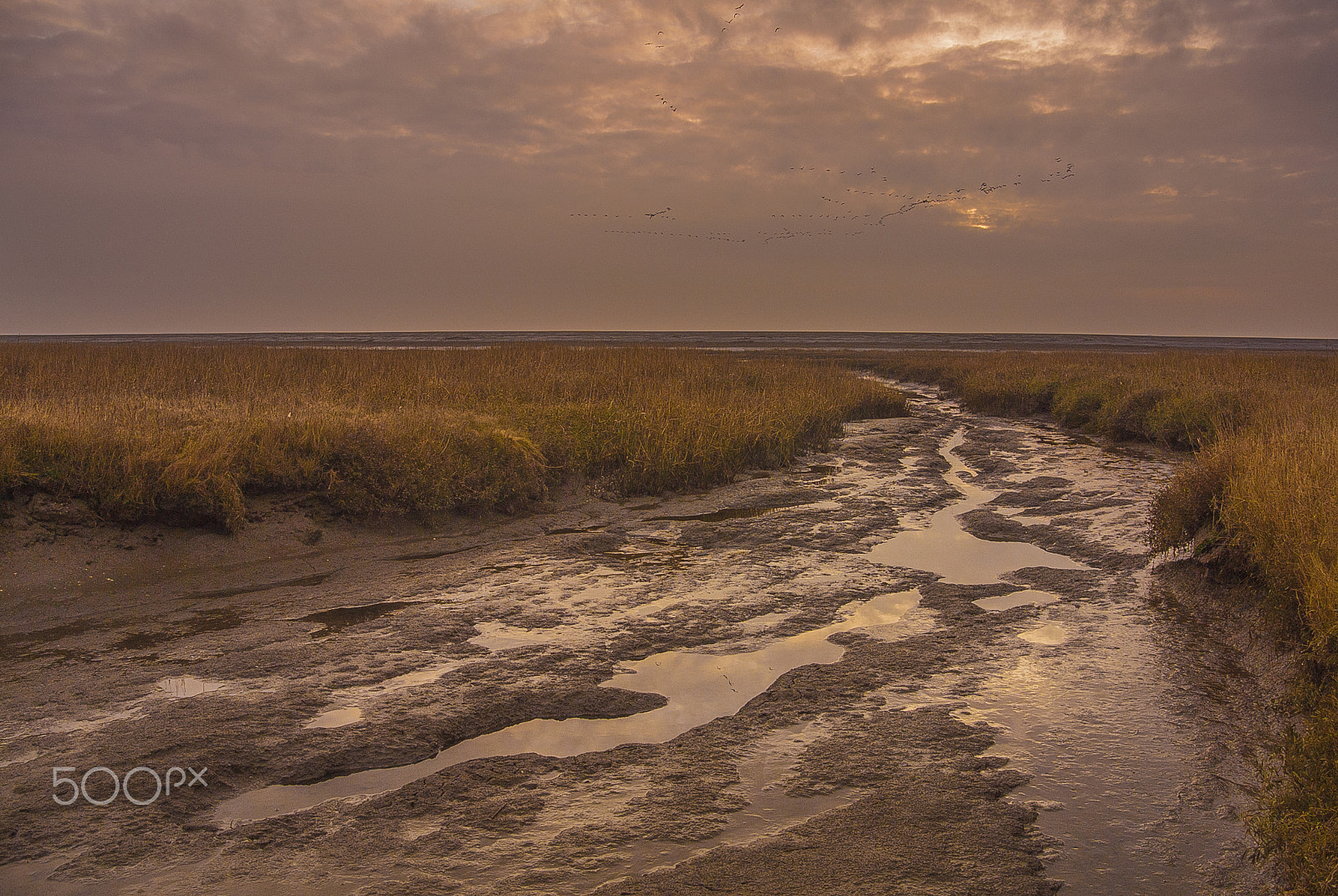Nikon 1 Nikkor 11-27.5mm F3.5-5.6 sample photo. Sunrise at moddergat photography