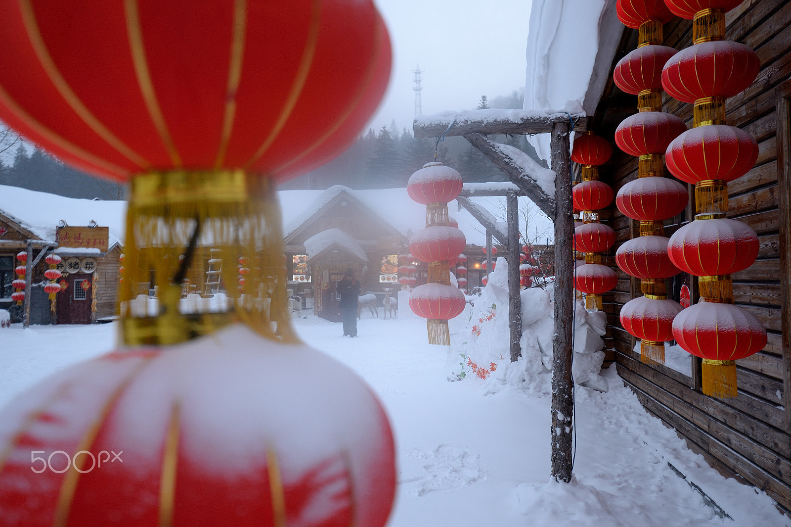 Nikon Df sample photo. Red lantern photography