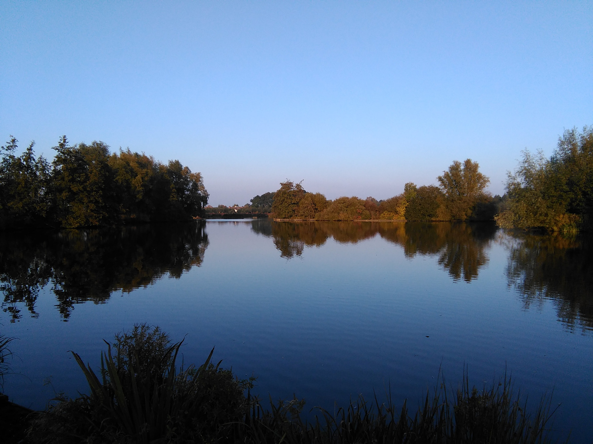 HUAWEI G620S-L01 sample photo. Dutch !  photography