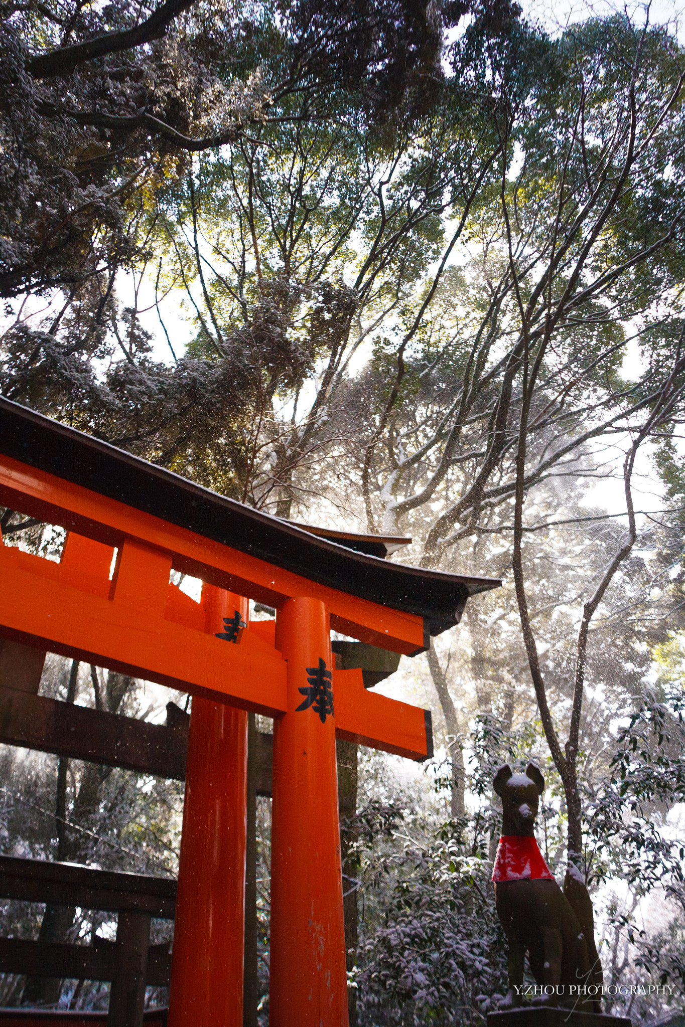 Canon EOS 40D sample photo. Snowing inari photography
