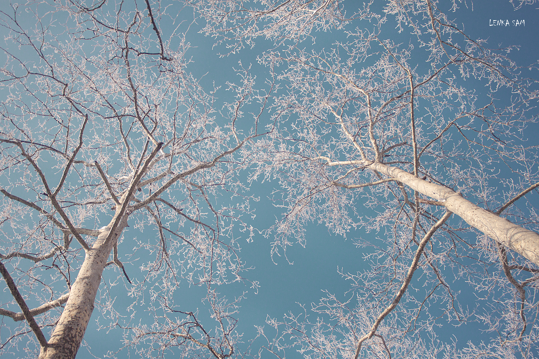 Canon EOS 500D (EOS Rebel T1i / EOS Kiss X3) sample photo. I have a dream photography