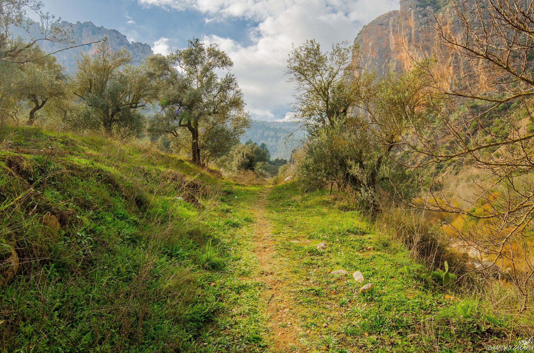 Samyang 14mm F2.8 ED AS IF UMC sample photo. Path photography