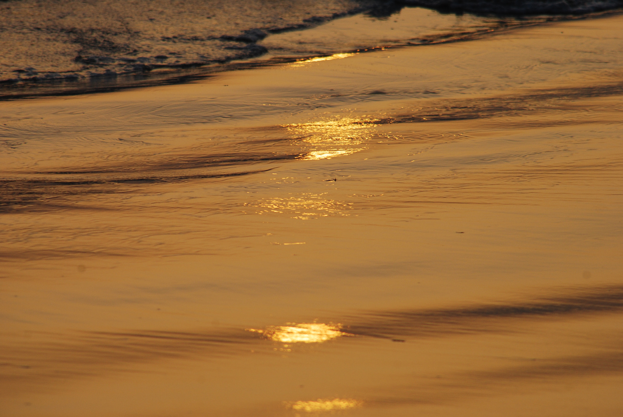 Nikon D40X sample photo. Reflejo dorado photography