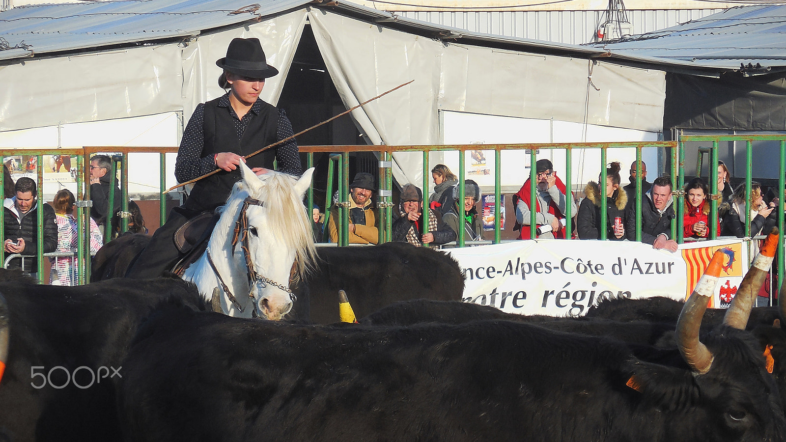 Nikon COOLPIX S6600 sample photo. Camargue & traditions photography