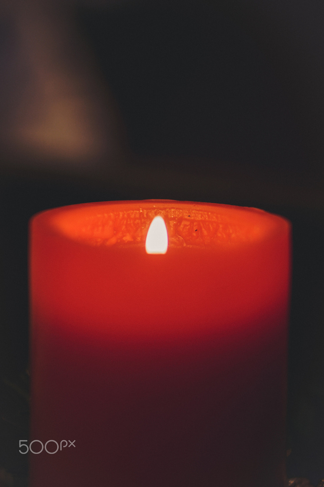 Sony a6300 + E 50mm F1.8 OSS sample photo. Warm photography