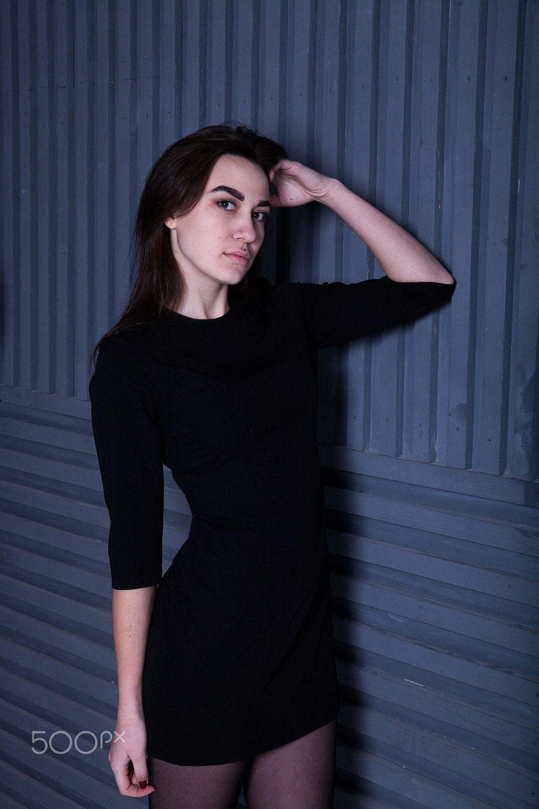 Canon EOS 5D sample photo. Polly photography