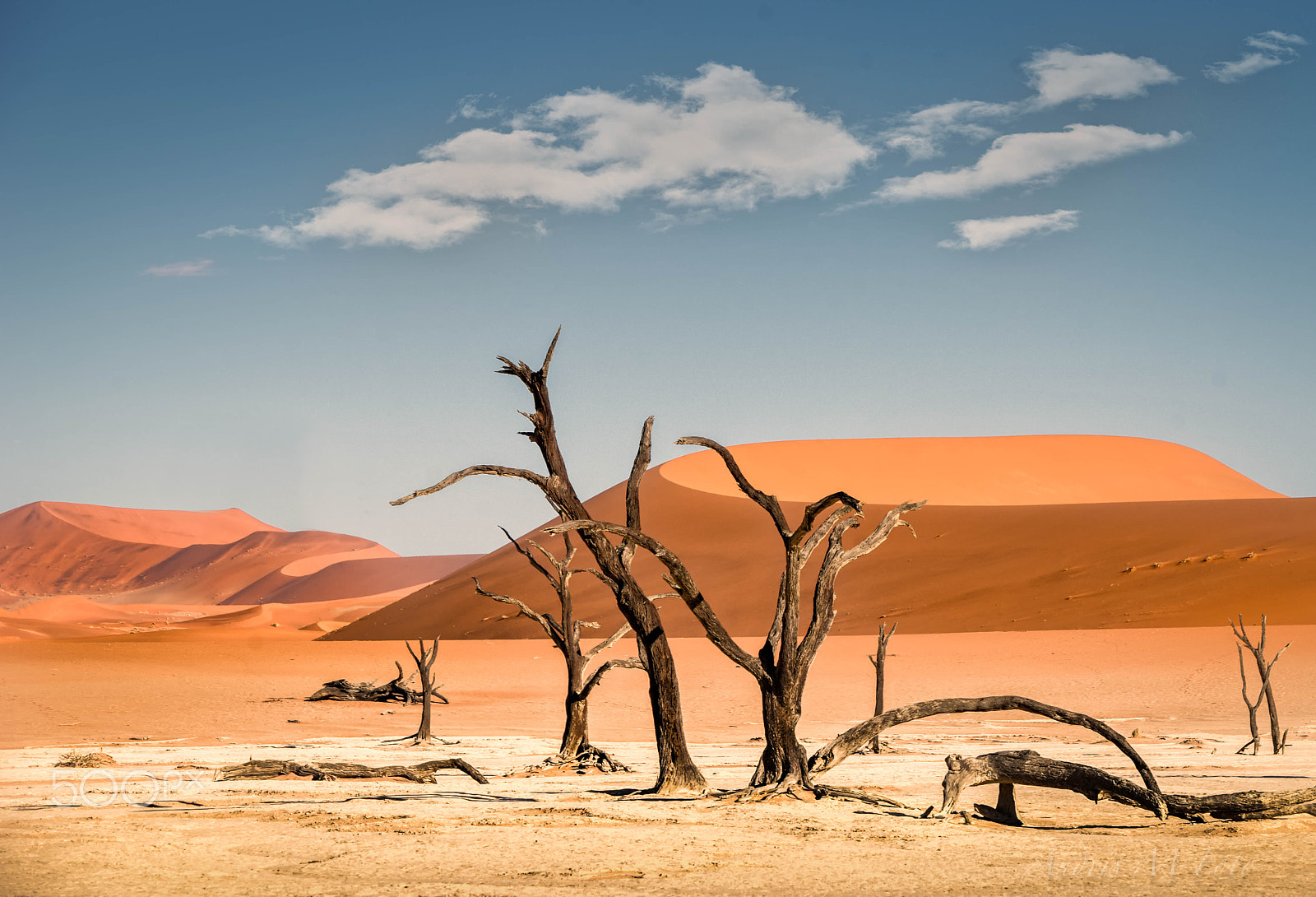 Sony 70-200mm F2.8 G SSM II sample photo. Namibia 1 photography