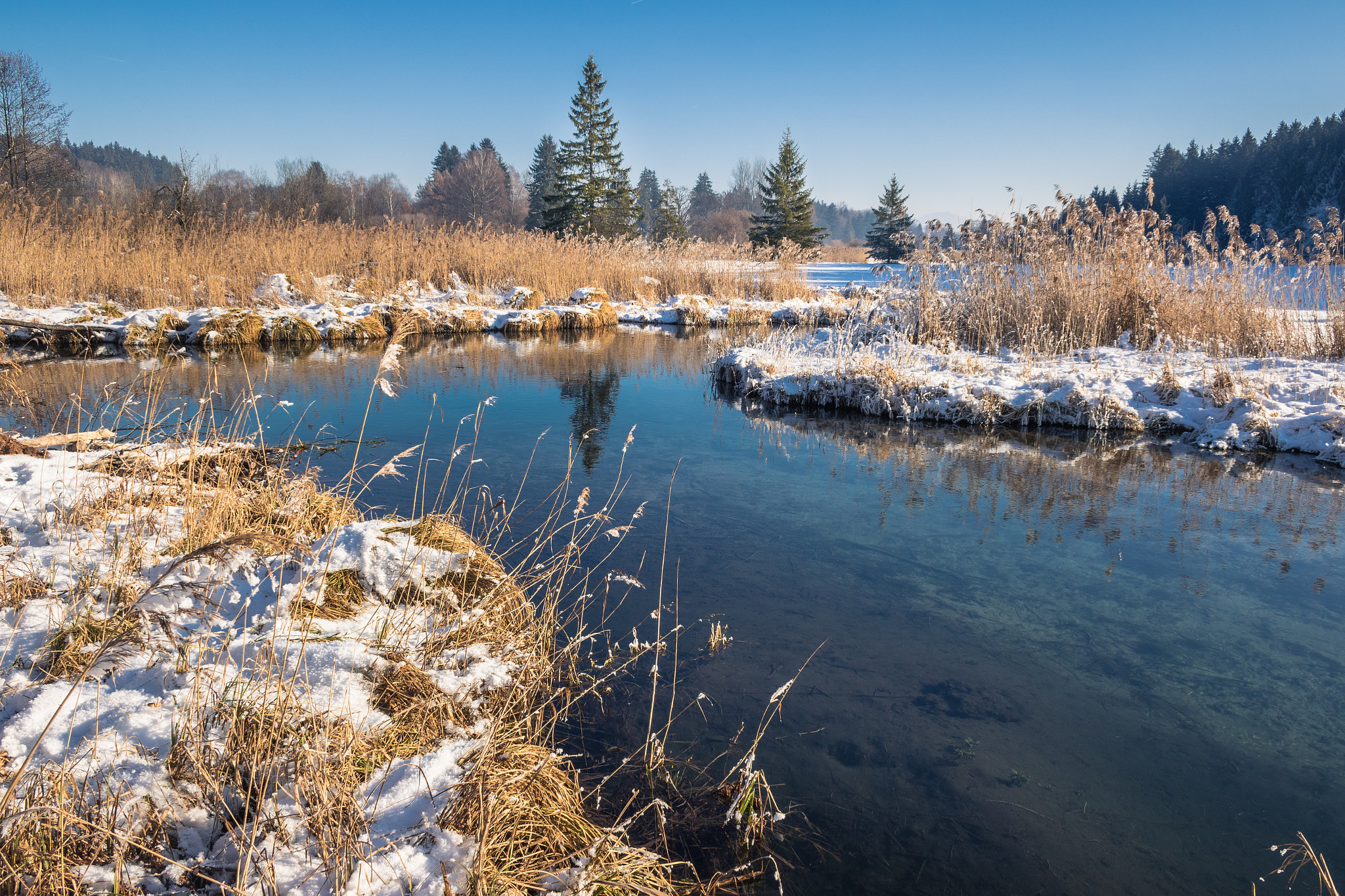 Canon EF-S 18-55mm F3.5-5.6 II sample photo. Ettinger bach photography