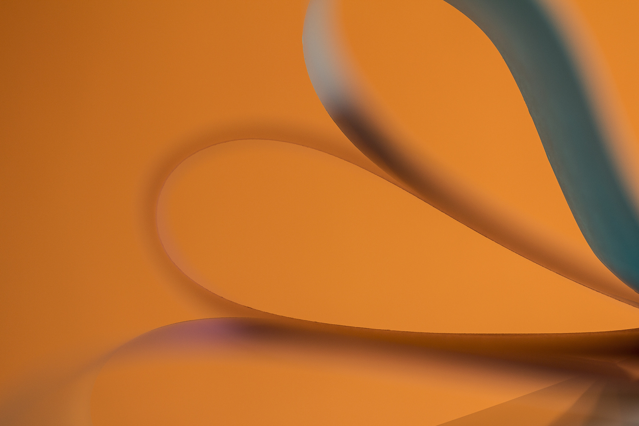 Canon EF 100mm F2.8 Macro USM sample photo. Paper art i photography