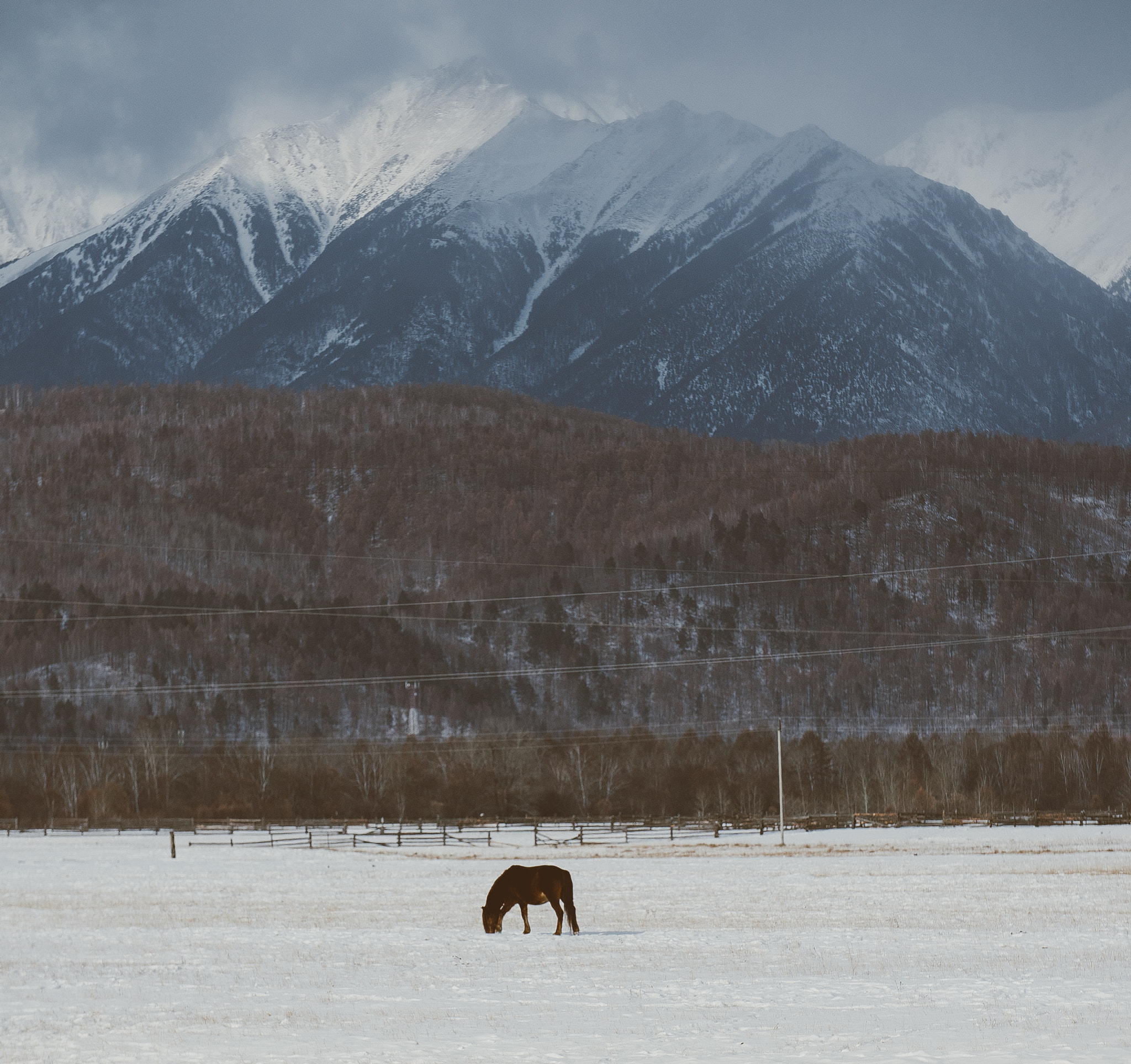 Sony a6300 + Canon EF 70-200mm F4L USM sample photo. Dsc photography