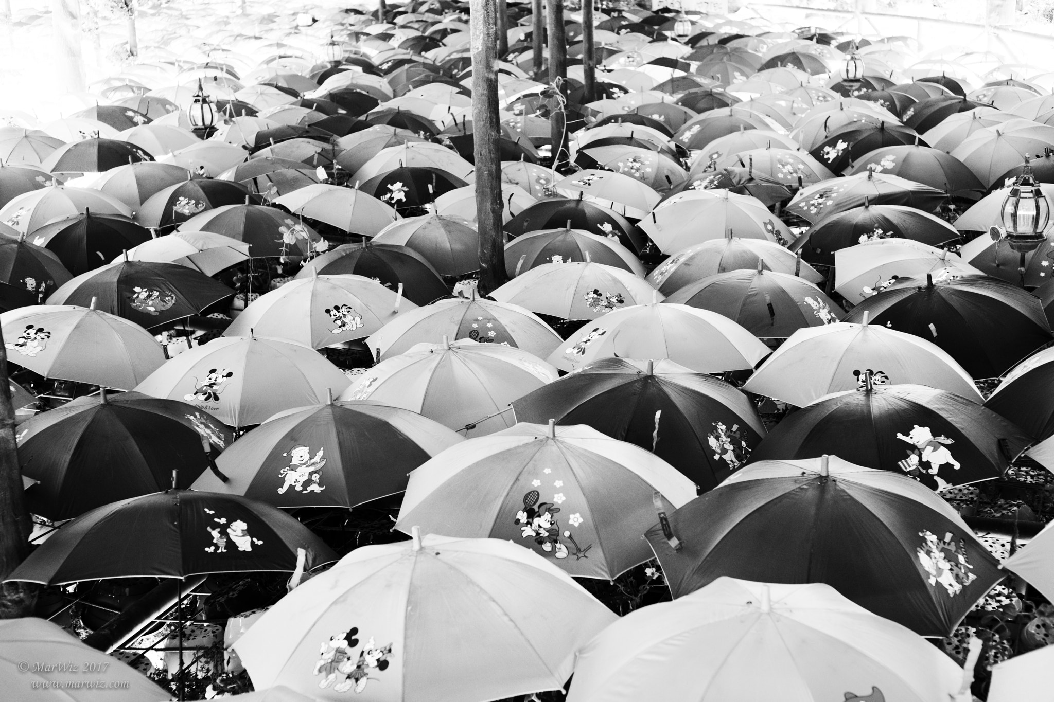 ZEISS C Sonnar T* 50mm F1.5 ZM sample photo. Hanging umbrellas photography