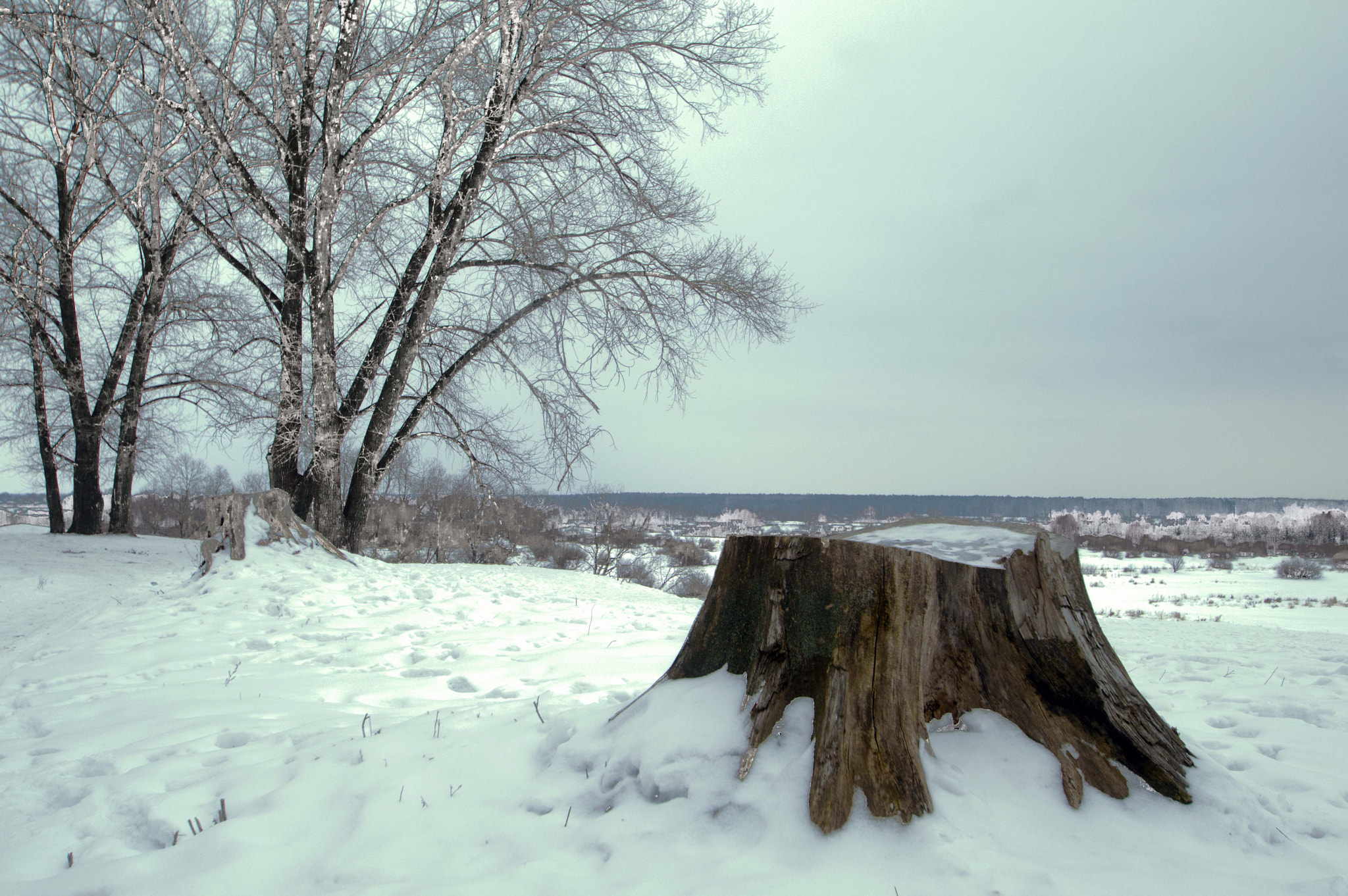 Nikon D3200 sample photo. Пьедестал photography