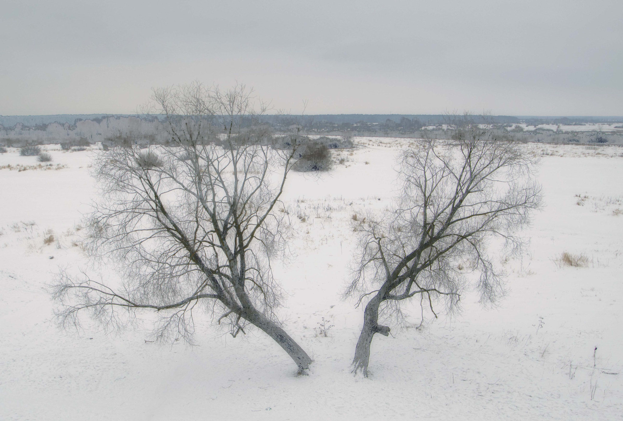 Nikon D3200 sample photo. Размолвка photography