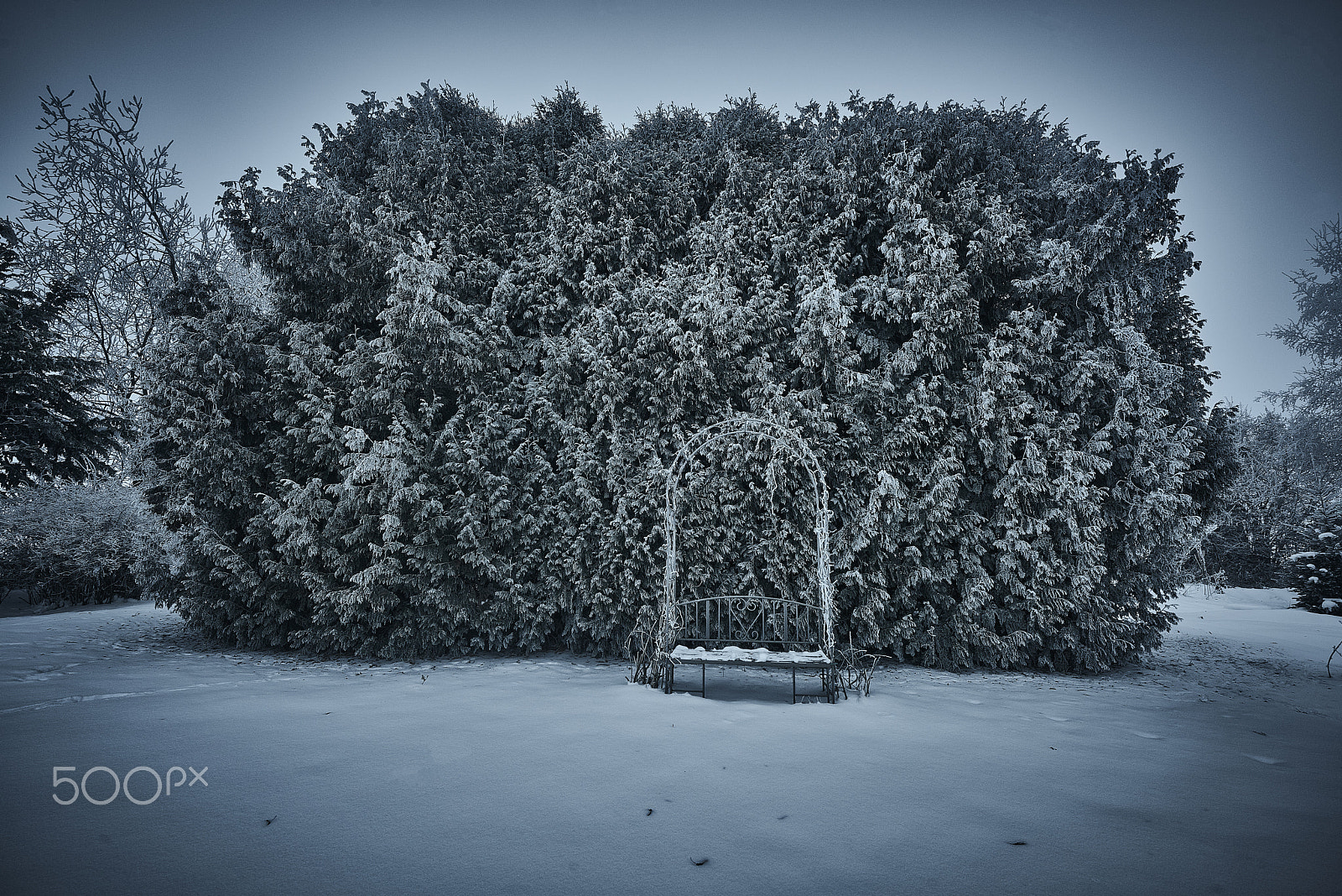 Nikon AF-S Nikkor 14-24mm F2.8G ED sample photo. Winter-romantik photography