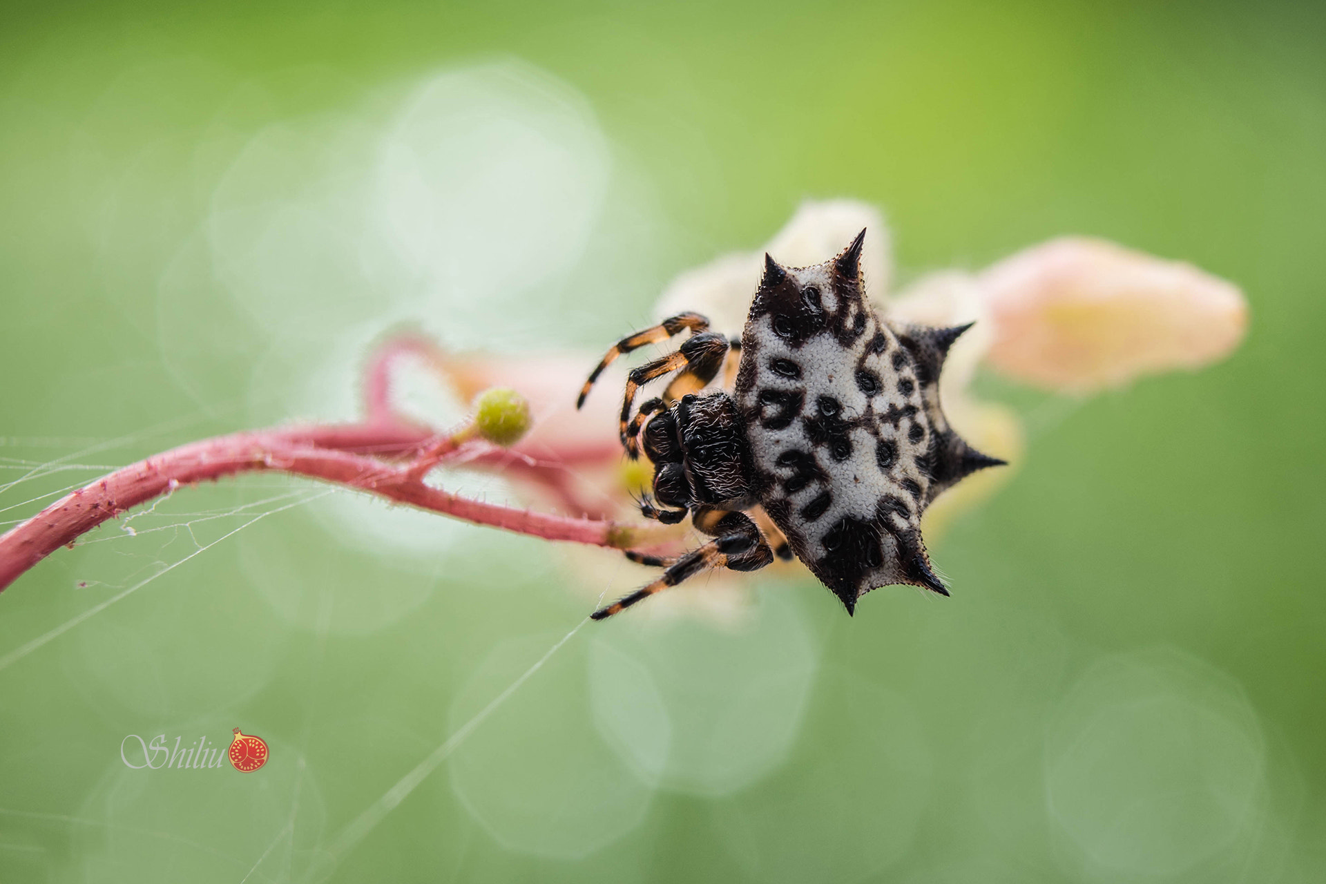 Nikon D810 + Nikon PC-E Nikkor 45mm F2.8D ED Tilt-Shift sample photo