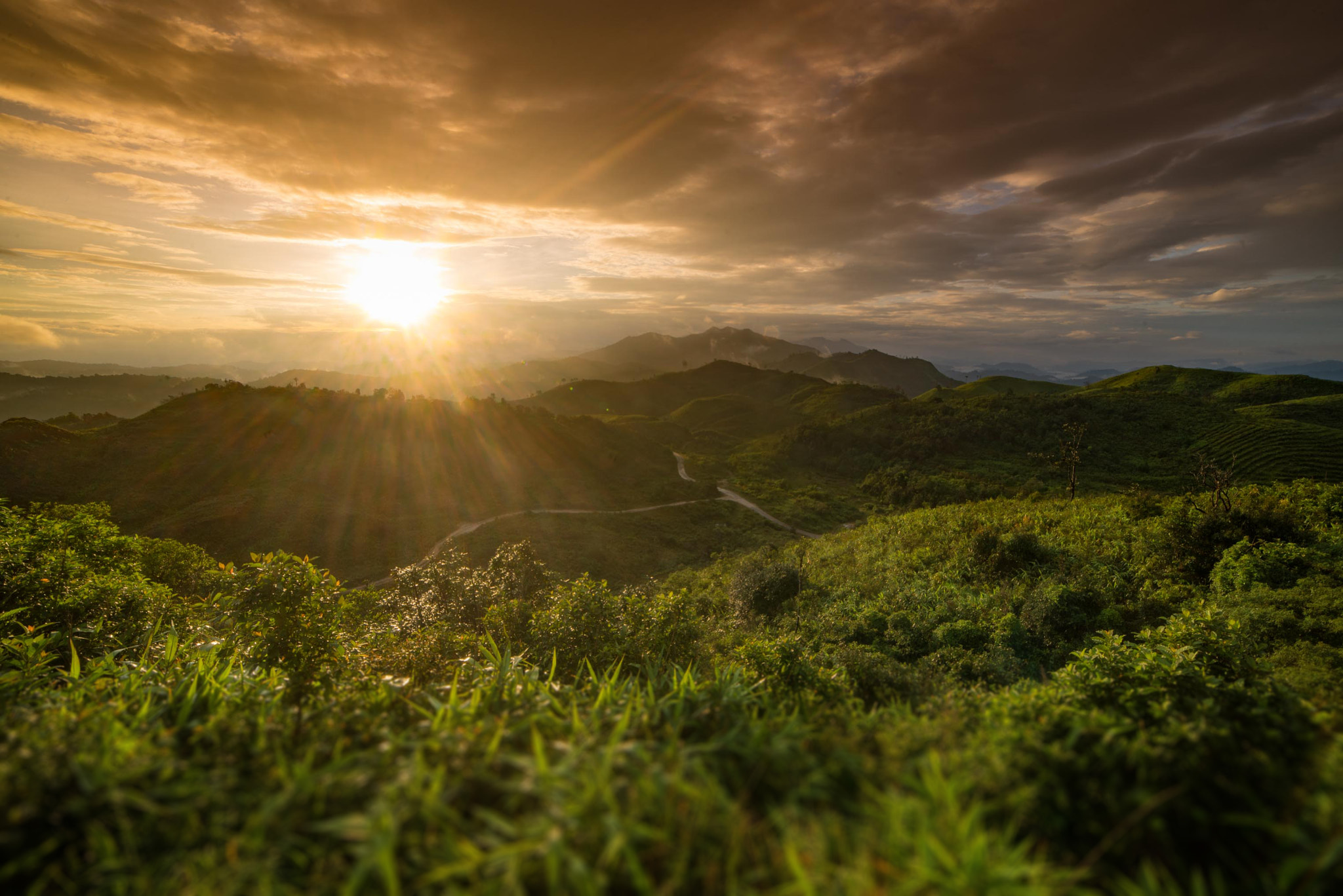 Samyang 14mm F2.8 ED AS IF UMC sample photo. Thong-pa-phom1 photography