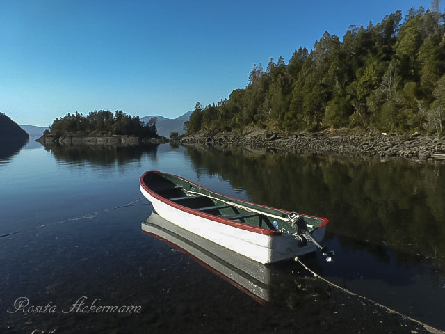 Panasonic Lumix DMC-ZS8 (Lumix DMC-TZ18) sample photo. Ranco lake - chile photography