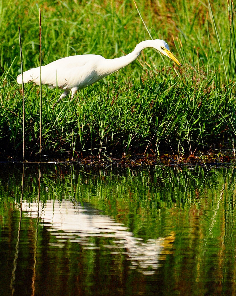 Nikon D300S sample photo. Never ending search! photography