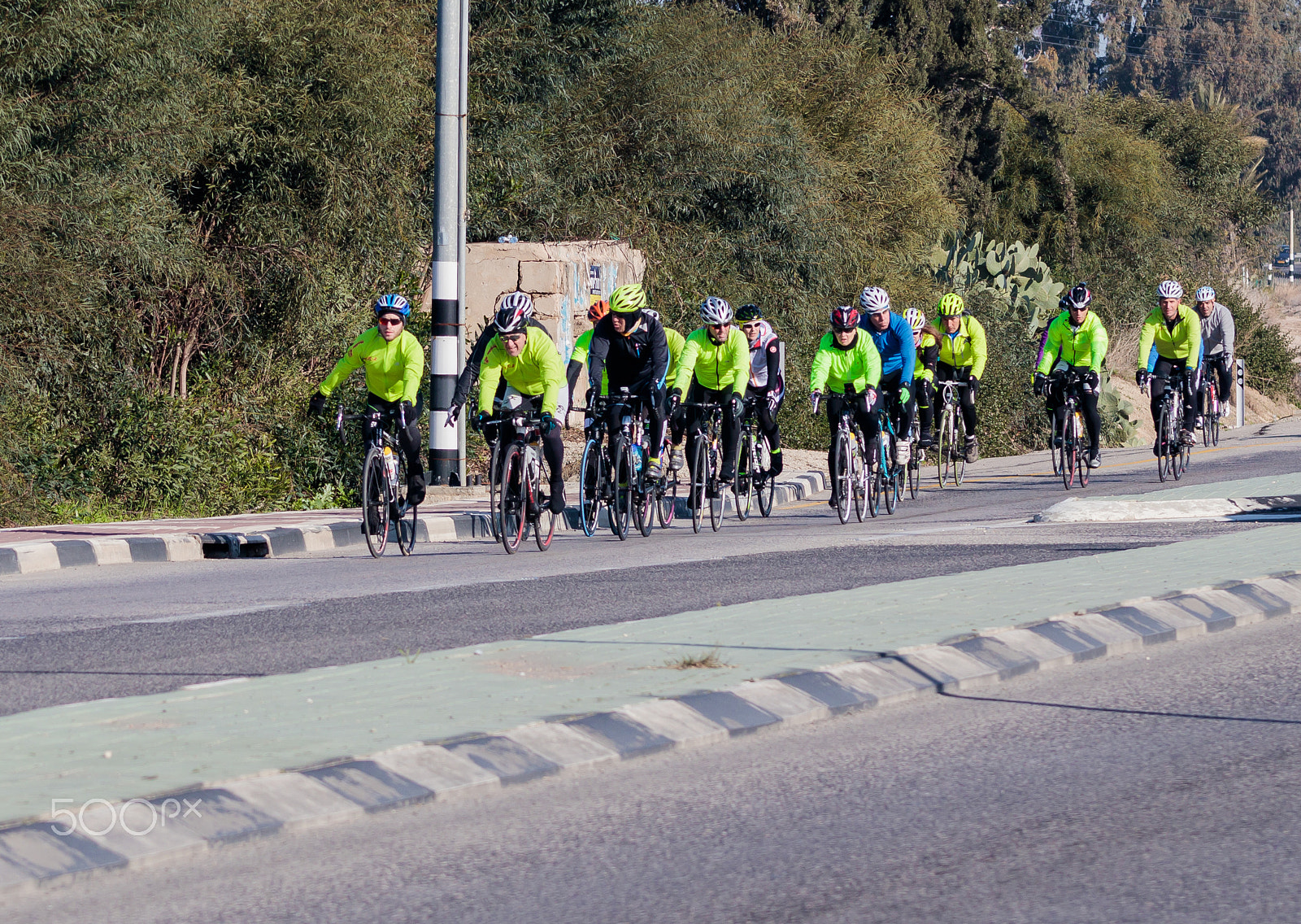 Canon EOS 80D + Sigma 50-200mm F4-5.6 DC OS HSM sample photo. Group of cyclists on winter morning trains on intercity road photography