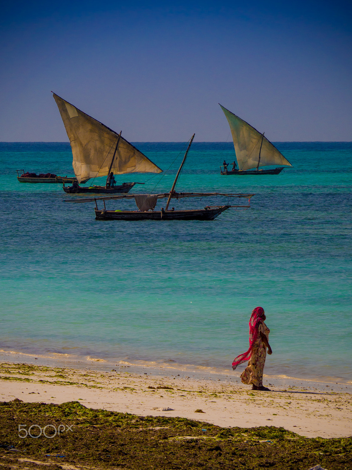 Olympus OM-D E-M10 sample photo. Zanzibar postcard photography