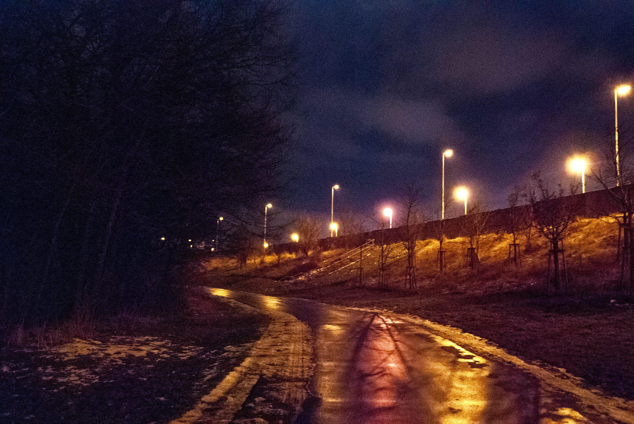 Nikon D80 sample photo. Coming home photography